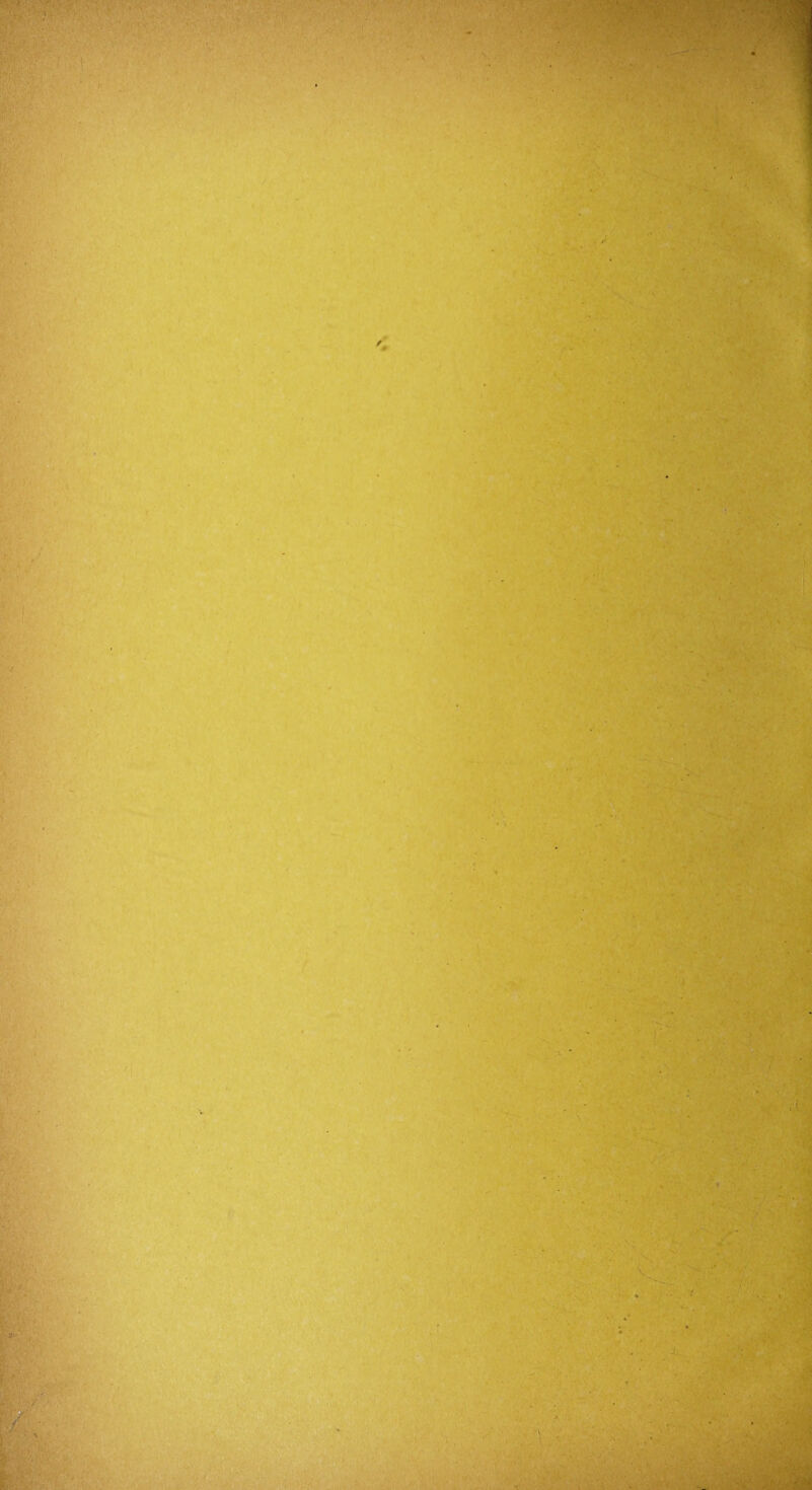 , • . •: . \ . ->■ ' • Vf iS • “S- ' ' ■?. ■*. ■. i : ■