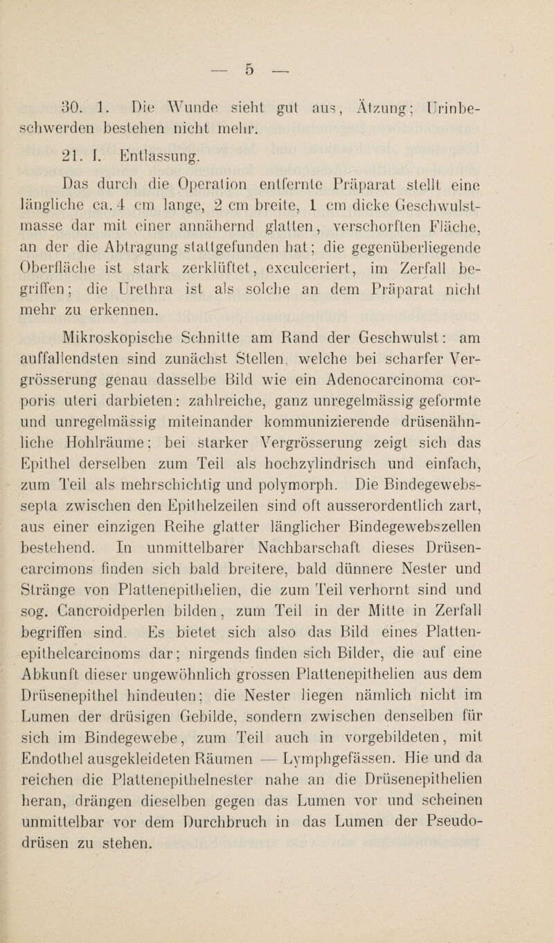30. 1. Die Wunde sieht gut aus, Ätzung; Urinbe¬ schwerden bestehen nicht mehr. 21. h Entlassung. Das durch die Operation entfernte Präparat stellt eine längliche ca. 4 cm lange, 2 cm breite, 1 cm dicke Geschwulst¬ masse dar mit einer annähernd glatten, verschorften Fläche, an der die Abtragung stattgefunden hat; die gegenüberliegende Oberfläche ist stark zerklüftet, exculceriert, im Zerfall be¬ griffen ; die Urethra ist als solche an dem Präparat nicht mehr zu erkennen. Mikroskopische Schnitte am Rand der Geschwulst: am auffallendsten sind zunächst Stellen, welche bei scharfer Ver- grösserung genau dasselbe Bild wie ein Adenocarcinoma cor¬ poris uteri darbieten: zahlreiche, ganz unregelmässig geformte und unregelmässig miteinander kommunizierende drüsenähn¬ liche Hohlräume; bei starker Yergrösserung zeigt sich das Epithel derselben zum Teil als hochzylindrisch und einfach, zum Teil als mehrschichtig und polymorph. Die Bindegewebs- septa zwischen den Epilbeizeiten sind oft ausserordentlich zart, aus einer einzigen Reihe glatter länglicher Bindegewebszellen bestehend. In unmittelbarer Nachbarschaft dieses Drüsen- carcimons finden sich bald breitere, bald dünnere Nester und Stränge von Plattenepithelien, die zum Teil verhornt sind und sog. Cancroidperlen bilden, zum Teil in der Mitte in Zerfall begriffen sind. Es bietet sich also das Bild eines Platten- epithelcarcinoms dar; nirgends finden sich Bilder, die auf eine Abkunft dieser ungewöhnlich grossen Plattenepithelien aus dem Drüsenepithel hindeuten; die Nester liegen nämlich nicht im Lumen der drüsigen Gebilde, sondern zwischen denselben für sich im Bindegewebe, zum Teil auch in vorgebildeten, mit Endothel ausgekleideten Räumen — Lymphgefässen. Hie und da reichen die Plattenepithelnester nahe an die Drüsenepithelien heran, drängen dieselben gegen das Lumen vor und scheinen unmittelbar vor dem Durchbruch in das Lumen der Pseudo¬ drüsen zu stehen.