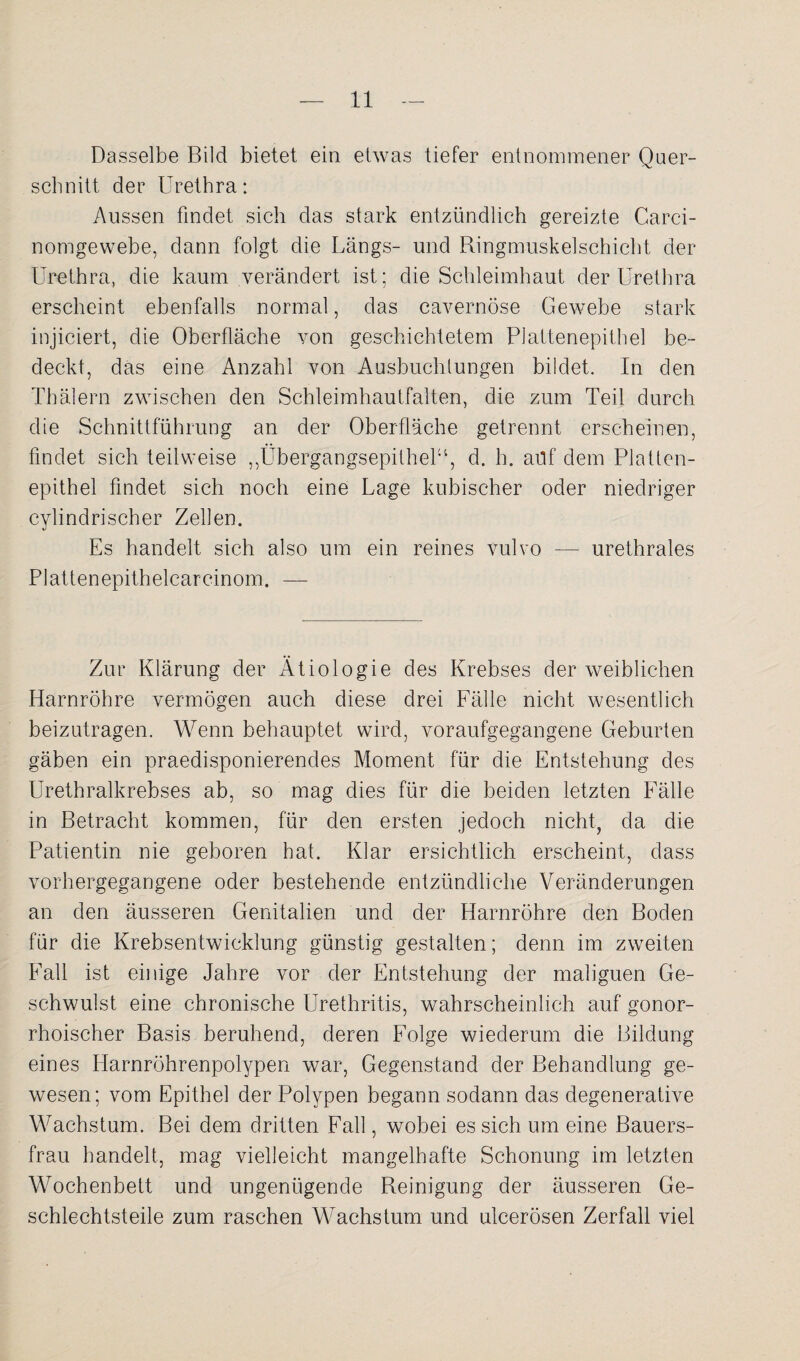Dasselbe Bild bietet ein etwas tiefer entnommener Quer¬ schnitt der Urethra: Aussen findet sich das stark entzündlich gereizte Carci- nomgewebe, dann folgt die Längs- und Ringmuskelschicht der Urethra, die kaum verändert ist; die Schleimhaut der Urethra erscheint ebenfalls normal, das cavernöse Gewebe stark injiciert, die Oberfläche von geschichtetem Plattenepithel be¬ deckt, das eine Anzahl von Ausbuchtungen bildet. In den Thälern zwischen den Schleimhautfalten, die zum Teil durch die Schnittführung an der Oberfläche getrennt erscheinen, findet sich teilweise „Übergangsepithel“, d. h. ailf dem Platten¬ epithel findet sich noch eine Lage kubischer oder niedriger cylindrischer Zellen. Es handelt sich also um ein reines vulvo — urethrales Plattenepithelcarcinom. — Zur Klärung der Ätiologie des Krebses der weiblichen Harnröhre vermögen auch diese drei Fälle nicht wesentlich beizutragen. Wenn behauptet wird, voraufgegangene Geburten gäben ein praedisponierendes Moment für die Entstehung des Urethralkrebses ab, so mag dies für die beiden letzten Fälle in Betracht kommen, für den ersten jedoch nicht, da die Patientin nie geboren hat. Klar ersichtlich erscheint, dass vorhergegangene oder bestehende entzündliche Veränderungen an den äusseren Genitalien und der Harnröhre den Boden für die Krebsentwicklung günstig gestalten; denn im zweiten Fall ist einige Jahre vor der Entstehung der maliguen Ge¬ schwulst eine chronische Urethritis, wahrscheinlich auf gonor¬ rhoischer Basis beruhend, deren Folge wiederum die Bildung eines Harnröhrenpolypen war, Gegenstand der Behandlung ge¬ wesen; vom Epithel der Polypen begann sodann das degenerative Wachstum. Bei dem dritten Fall, wobei es sich um eine Bauers¬ frau handelt, mag vielleicht mangelhafte Schonung im letzten Wochenbett und ungenügende Reinigung der äusseren Ge¬ schlechtsteile zum raschen Wachstum und ulcerösen Zerfall viel
