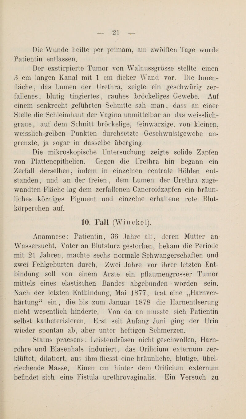Die Wunde heilte per primain, am zwölften Tage wurde Patientin entlassen. Der exstirpierte Tumor von Walnussgrösse stellte einen 3 cm langen Kanal mit 1 cm dicker Wand vor. Die Innen¬ fläche , das Lumen der Urethra, zeigte ein geschwürig zer¬ fallenes , blutig fingiertes, rauhes bröckeliges Gewebe. Auf einem senkrecht geführten Schnitte sah man, dass an einer Stelle die Schleimhaut der Vagina unmittelbar an das weisslich- graue, auf dem Schnitt bröckelige, feinwarzige, von kleinen, weisslich-gelben Punkten durchsetzte Geschwulstgewebe an¬ grenzte, ja sogar in dasselbe überging. Die mikroskopische Untersuchung zeigte solide Zapfen von Plattenepithelien. Gegen die Urethra hin begann ein Zerfall derselben, indem in einzelnen centrale Höhlen ent¬ standen , und an der freien, dem Lumen der Urethra zuge¬ wandten Fläche lag dem zerfallenen Gancroidzapfen ein bräun¬ liches körniges Pigment und einzelne erhaltene rote Blut¬ körperchen auf. 10. Fall (Winekel). Anamnese: Patientin, 36 Jahre alt, deren Mutter an Wassersucht, Vater an Blutsturz gestorben, bekam die Periode mit 21 Jahren, machte sechs normale Schwangerschaften und zwei Fehlgeburten durch. Zwei Jahre vor ihrer letzten Ent¬ bindung soll von einem Arzte ein pflaumengrosser Tumor mittels eines elastischen Bandes abgebunden worden sein. Nach der letzten Entbindung, Mai 1877, trat eine ,,Harnver¬ härtung“ ein, die bis zum Januar 1878 die Harnentleerung nicht wesentlich hinderte. Von da an musste sich Patientin selbst katheterisieren. Erst seit Anfang Juni ging der Urin wieder spontan ab, aber unter heftigen Schmerzen. Status praesens: Leistendrüsen nicht geschwollen, Harn¬ röhre und Blasenhals induriert, das Qrificium externum zer¬ klüftet, dilatiert, aus ihm fliesst eine bräunliche, blutige, übel¬ riechende Masse. Einen cm hinter dem Orificium externum befindet sich eine Fistula urethrovaginalis. Ein Versuch zu