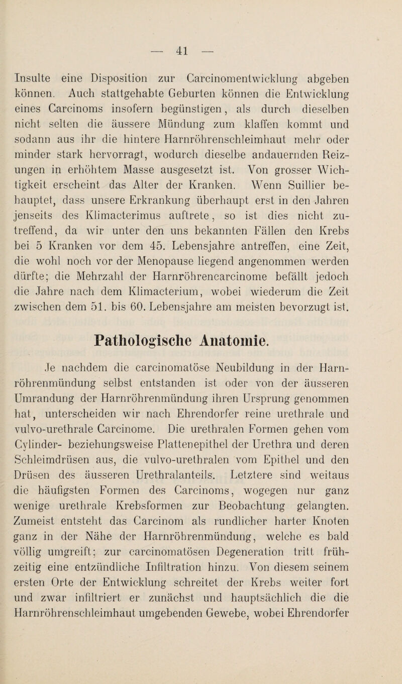 Insulte eine Disposition zur Carcinomentwicklung abgeben können. Auch stattgehabte Geburten können die Entwicklung eines Carcinoms insofern begünstigen, als durch dieselben nicht selten die äussere Mündung zum klaffen kommt und sodann aus ihr die hintere Harnröhrenschleimhaut mehr oder minder stark hervorragt, wodurch dieselbe andauernden Reiz¬ ungen in erhöhtem Masse ausgesetzt ist. Von grosser Wich¬ tigkeit erscheint das Alter der Kranken. Wenn Suillier be¬ hauptet, dass unsere Erkrankung überhaupt erst in den Jahren jenseits des Klimacterimus auftrete, so ist dies nicht zu¬ treffend, da wir unter den uns bekannten Fällen den Krebs bei 5 Kranken vor dem 45. Lebensjahre antreffen, eine Zeit, die wohl noch vor der Menopause liegend angenommen werden dürfte; die Mehrzahl der Harnröhrencarcinome befällt jedoch die Jahre nach dem Klimacterium, wobei wiederum die Zeit zwischen dem 51. bis 60. Lebensjahre am meisten bevorzugt ist. Pathologische Anatomie. Je nachdem die carcinomatöse Neubildung in der Harn¬ röhrenmündung selbst entstanden ist oder von der äusseren Umrandung der Harnröhrenmündung ihren Ursprung genommen hat, unterscheiden wir nach Ehrendorfer reine urethrale und vulvo-urethrale Carcinome. Die urethralen Formen gehen vom Cvlinder- beziehungsweise Plattenepithel der Urethra und deren Schleimdrüsen aus, die vulvo-urethralen vom Epithel und den Drüsen des äusseren Urethralanteils. Letztere sind weitaus die häufigsten Formen des Carcinoms, wogegen nur ganz wenige urethrale Krebsformen zur Beobachtung gelangten. Zumeist entsteht das Carcinom als rundlicher harter Knoten ganz in der Nähe der Harnröhrenmündung, welche es bald völlig umgreift; zur carcinomatösen Degeneration tritt früh¬ zeitig eine entzündliche Infiltration hinzu. Von diesem seinem ersten Orte der Entwicklung schreitet der Krebs weiter fort und zwar infiltriert er zunächst und hauptsächlich die die Harnröhrenschleimhaut umgebenden Gewebe, wobei Ehrendorfer