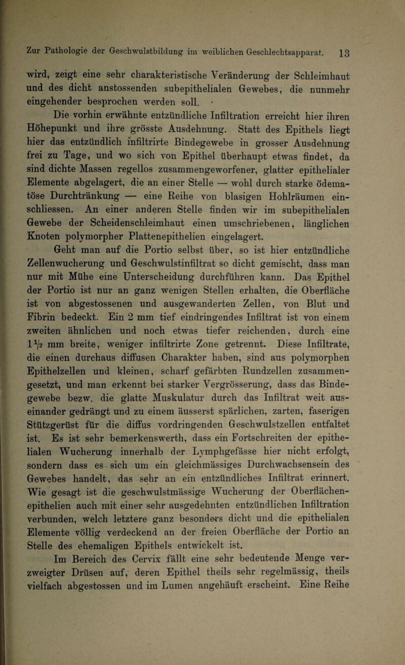 wird, zeigt eine sehr charakteristische Veränderung der Schleimhaut und des dicht anstossenden subepithelialen Gewebes, die nunmehr eingehender besprochen werden soll. Die vorhin erwähnte entzündliche Infiltration erreicht hier ihren Höhepunkt und ihre grösste Ausdehnung. Statt des Epithels liegt hier das entzündlich infiltrirte Bindegewebe in grosser Ausdehnung frei zu Tage, und wo sich von Epithel überhaupt etwas findet, da sind dichte Massen regellos zusammengeworfener, glatter epithelialer Elemente abgelagert, die an einer Stelle — wohl durch starke ödema- töse Durchtränkung — eine Reihe von blasigen Hohlräumen ein- schliessen. An einer anderen Stelle finden wir im subepithelialen Gewebe der Scheidenschleimhaut einen umschriebenen, länglichen Knoten polymorpher Plattenepithelien eingelagert. Geht man auf die Portio selbst über, so ist hier entzündliche Zellenwucherung und Geschwulstinfiltrat so dicht gemischt, dass man nur mit Mühe eine Unterscheidung durchführen kann. Das Epithel der Portio ist nur an ganz wenigen Stellen erhalten, die Oberfläche ist von abgestossenen und ausgewanderten Zellen, von Blut und Fibrin bedeckt. Ein 2 mm tief eindringendes Infiltrat ist von einem zweiten ähnlichen und noch etwas tiefer reichenden, durch eine 1 x/2 mm breite, weniger infiltrirte Zone getrennt. Diese Infiltrate, die einen durchaus diffusen Charakter haben, sind aus polymorphen Epithelzellen und kleinen, scharf gefärbten Rundzellen zusammen¬ gesetzt, und man erkennt bei starker Vergrösserung, dass das Binde¬ gewebe bezw. die glatte Muskulatur durch das Infiltrat weit aus¬ einander gedrängt und zu einem äusserst spärlichen, zarten, faserigen Stützgerüst für die diffus vordringenden Geschwulstzellen entfaltet ist. Es ist sehr bemerkenswerth, dass ein Fortschreiten der epithe¬ lialen Wucherung innerhalb der Lymphgefässe hier nicht erfolgt, sondern dass es sich um ein gleichmässiges Durchwachsensein des Gewebes handelt, das sehr an ein entzündliches Infiltrat erinnert. Wie gesagt ist die geschwulstmässige Wucherung der Oberflächen- epithelien auch mit einer sehr ausgedehnten entzündlichen Infiltration verbunden, welch letztere ganz besonders dicht und die epithelialen Elemente völlig verdeckend an der freien Oberfläche der Portio an Stelle des ehemaligen Epithels entwickelt ist. Im Bereich des Cervix fällt eine sehr bedeutende Menge ver¬ zweigter Drüsen auf, deren Epithel theils sehr regelmässig, theils vielfach abgestossen und im Lumen angehäuft erscheint. Eine Reihe