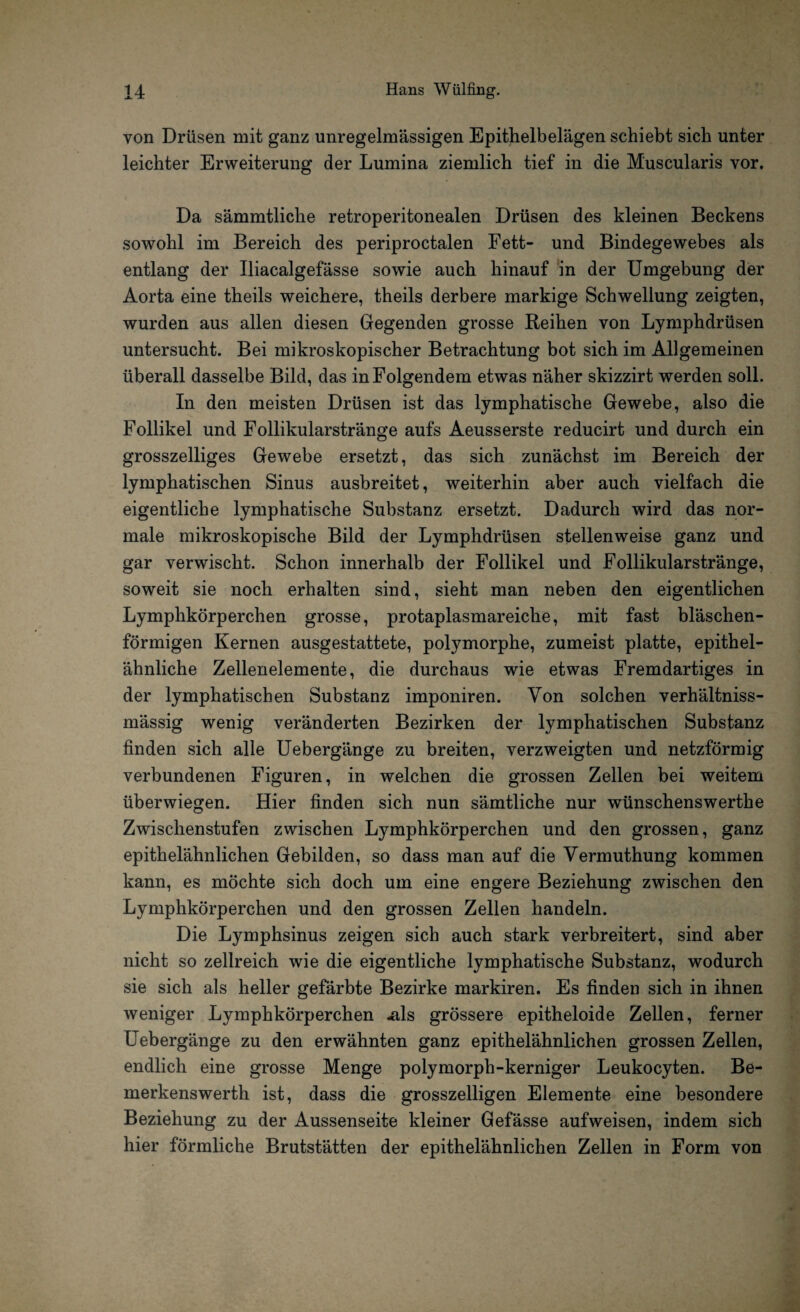 von Drüsen mit ganz unregelmässigen Epithelbelägen schiebt sich unter leichter Erweiterung der Lumina ziemlich tief in die Muscularis vor. Da sämmtliche retroperitonealen Drüsen des kleinen Beckens sowohl im Bereich des periproctalen Fett- und Bindegewebes als entlang der Iliacalgefässe sowie auch hinauf in der Umgebung der Aorta eine theils weichere, theils derbere markige Schwellung zeigten, wurden aus allen diesen Gegenden grosse Reihen von Lymphdrüsen untersucht. Bei mikroskopischer Betrachtung bot sich im Allgemeinen überall dasselbe Bild, das in Folgendem etwas näher skizzirt werden soll. In den meisten Drüsen ist das lymphatische Gewebe, also die Follikel und Follikularstränge aufs Aeusserste reducirt und durch ein grosszeiliges Gewebe ersetzt, das sich zunächst im Bereich der lymphatischen Sinus ausbreitet, weiterhin aber auch vielfach die eigentliche lymphatische Substanz ersetzt. Dadurch wird das nor¬ male mikroskopische Bild der Lymphdrüsen stellenweise ganz und gar verwischt. Schon innerhalb der Follikel und Follikularstränge, soweit sie noch erhalten sind, sieht man neben den eigentlichen Lymphkörperchen grosse, protaplasmareiche, mit fast bläschen¬ förmigen Kernen ausgestattete, polymorphe, zumeist platte, epithel¬ ähnliche Zellenelemente, die durchaus wie etwas Fremdartiges in der lymphatischen Substanz imponiren. Von solchen verhältniss- mässig wenig veränderten Bezirken der lymphatischen Substanz finden sich alle Uebergänge zu breiten, verzweigten und netzförmig verbundenen Figuren, in welchen die grossen Zellen bei weitem überwiegen. Hier finden sich nun sämtliche nur wünschenswerthe Zwischenstufen zwischen Lymphkörperchen und den grossen, ganz epithelähnlichen Gebilden, so dass man auf die Vermuthung kommen kann, es möchte sich doch um eine engere Beziehung zwischen den Lymphkörperchen und den grossen Zellen handeln. Die Lymphsinus zeigen sich auch stark verbreitert, sind aber nicht so zellreich wie die eigentliche lymphatische Substanz, wodurch sie sich als heller gefärbte Bezirke markiren. Es finden sich in ihnen weniger Lymphkörperchen -als grössere epitheloide Zellen, ferner Uebergänge zu den erwähnten ganz epithelähnlichen grossen Zellen, endlich eine grosse Menge polymorph-kerniger Leukocyten. Be¬ merkenswerth ist, dass die grosszelligen Elemente eine besondere Beziehung zu der Aussenseite kleiner Gefässe aufweisen, indem sich hier förmliche Brutstätten der epithelähnlichen Zellen in Form von