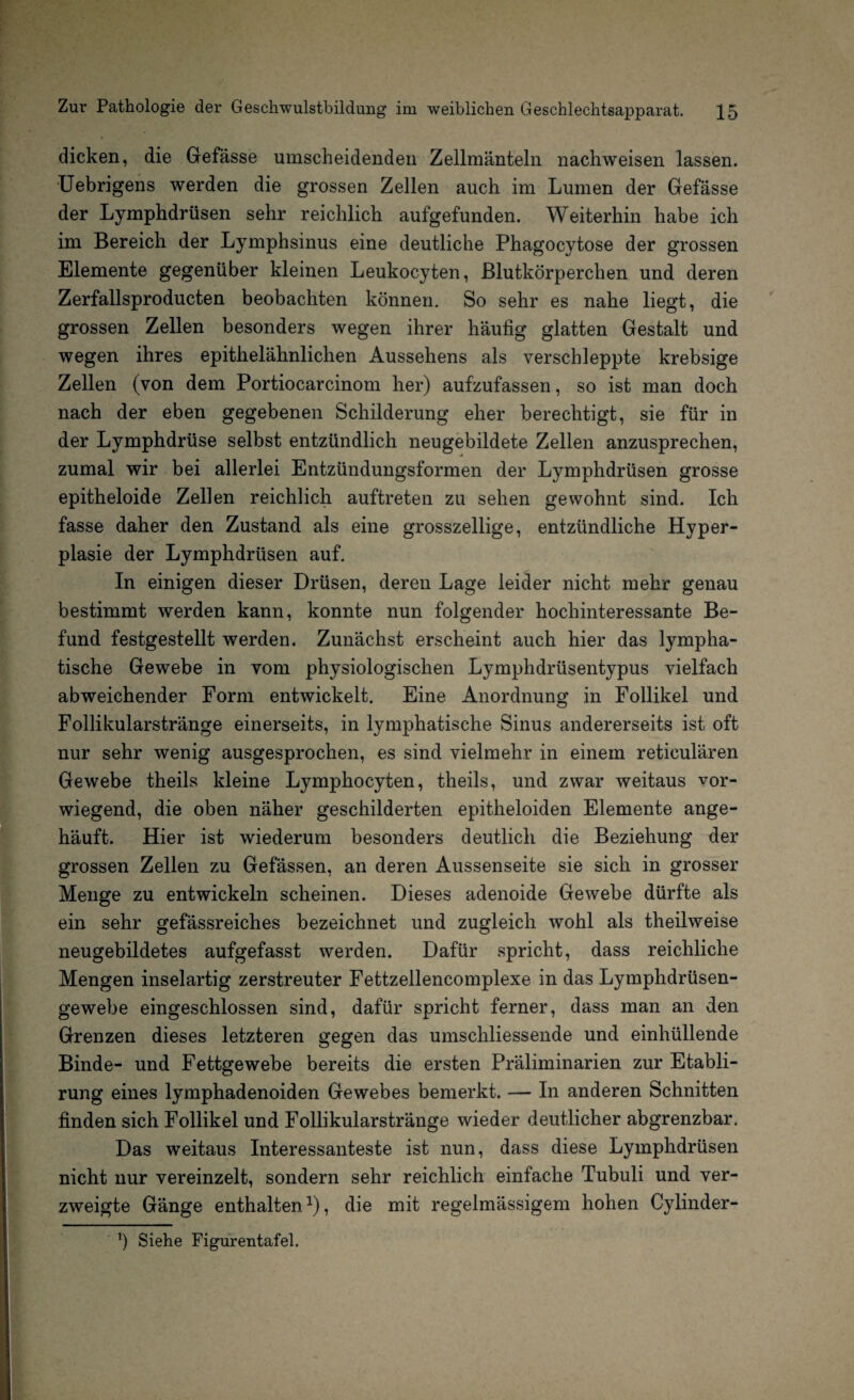dicken, die Gefässe umscheidenden Zellmänteln nachweisen lassen. Uebrigens werden die grossen Zellen auch im Lumen der Gefässe der Lymphdrüsen sehr reichlich aufgefunden. Weiterhin habe ich im Bereich der Lymphsinus eine deutliche Phagocytose der grossen Elemente gegenüber kleinen Leukocyten, Blutkörperchen und deren Zerfallsproducten beobachten können. So sehr es nahe liegt, die grossen Zellen besonders wegen ihrer häufig glatten Gestalt und wegen ihres epithelähnlichen Aussehens als verschleppte krebsige Zellen (von dem Portiocarcinom her) aufzufassen, so ist man doch nach der eben gegebenen Schilderung eher berechtigt, sie für in der Lymphdrüse selbst entzündlich neugebildete Zellen anzusprechen, zumal wir bei allerlei Entzündungsformen der Lymphdrüsen grosse epitheloide Zellen reichlich auftreten zu sehen gewohnt sind. Ich fasse daher den Zustand als eine grosszeilige, entzündliche Hyper¬ plasie der Lymphdrüsen auf. In einigen dieser Drüsen, deren Lage leider nicht mehr genau bestimmt werden kann, konnte nun folgender hochinteressante Be¬ fund festgestellt werden. Zunächst erscheint auch hier das lympha¬ tische Gewebe in vom physiologischen Lymphdrüsentypus vielfach abweichender Form entwickelt. Eine Anordnung in Follikel und Follikularstränge einerseits, in lymphatische Sinus andererseits ist oft nur sehr wenig ausgesprochen, es sind vielmehr in einem reticulären Gewebe theils kleine Lymphocyten, theils, und zwar weitaus vor¬ wiegend, die oben näher geschilderten epitheloiden Elemente ange¬ häuft. Hier ist wiederum besonders deutlich die Beziehung der grossen Zellen zu Gefässen, an deren Aussenseite sie sich in grosser Menge zu entwickeln scheinen. Dieses adenoide Gewebe dürfte als ein sehr gefässreiches bezeichnet und zugleich wohl als theilweise neugebildetes aufgefasst werden. Dafür spricht, dass reichliche Mengen inselartig zerstreuter Fettzellencomplexe in das Lymphdrüsen- gewebe eingeschlossen sind, dafür spricht ferner, dass man an den Grenzen dieses letzteren gegen das umschliessende und einhüllende Binde- und Fettgewebe bereits die ersten Präliminarien zur Etabli- rung eines lymphadenoiden Gewebes bemerkt. — In anderen Schnitten finden sich Follikel und Follikularstränge wieder deutlicher abgrenzbar. Das weitaus Interessanteste ist nun, dass diese Lymphdrüsen nicht nur vereinzelt, sondern sehr reichlich einfache Tubuli und ver¬ zweigte Gänge enthalten1), die mit regelmässigem hohen Cylinder-