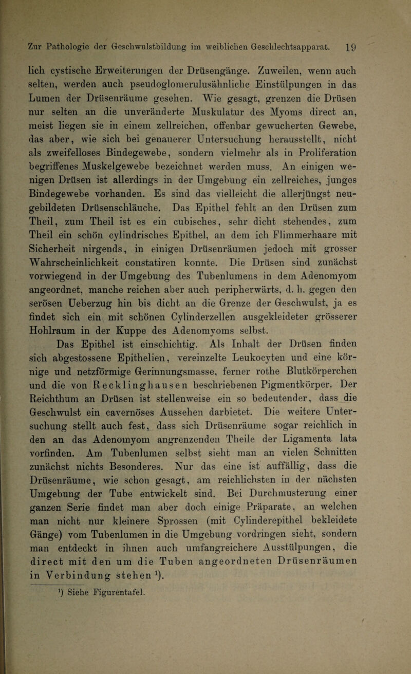 lieh cystische Erweiterungen der Drüsengänge. Zuweilen, wenn auch selten, werden auch pseudoglomerulusähnliche Einstülpungen, in das Lumen der Drüsenräume gesehen. Wie gesagt, grenzen die Drüsen nur selten an die unveränderte Muskulatur des Myoms direct an, meist liegen sie in einem zellreichen, offenbar gewucherten Gewebe, das aber, wie sich bei genauerer Untersuchung herausstellt, nicht als zweifelloses Bindegewebe, sondern vielmehr als in Proliferation begriffenes Muskelgewebe bezeichnet werden muss. An einigen we¬ nigen Drüsen ist allerdings in der Umgebung ein zellreiches, junges Bindegewebe vorhanden. Es sind das vielleicht die allerjüngst neu¬ gebildeten Drüsenschläuche. Das Epithel fehlt an den Drüsen zum Theil, zum Theil ist es ein cubisches, sehr dicht stehendes, zum Theil ein schön cylindrisches Epithel, an dem ich Flimmerhaare mit Sicherheit nirgends, in einigen Drüsenräumen jedoch mit grosser Wahrscheinlichkeit constatiren konnte. Die Drüsen sind zunächst vorwiegend in der Umgebung des Tubenlumens in dem Adenomyom angeordnet, manche reichen aber auch peripherwärts, d. h. gegen den serösen Ueberzug hin bis dicht an die Grenze der Geschwulst, ja es findet sich ein mit schönen Cylinderzellen ausgekleideter grösserer Hohlraum in der Kuppe des Adenomyoms selbst. Das Epithel ist einschichtig. Als Inhalt der Drüsen finden sich abgestossene Epithelien, vereinzelte Leukocyten und eine kör¬ nige und netzförmige Gerinnungsmasse, ferner rothe Blutkörperchen und die von Recklinghausen beschriebenen Pigmentkörper. Der Reichthum an Drüsen ist stellenweise ein so bedeutender, dass die Geschwulst ein cavernöses Aussehen darbietet. Die weitere Unter¬ suchung stellt auch fest, dass sich Drüsenräume sogar reichlich in den an das Adenomyom angrenzenden Theile der Ligamenta lata vorfinden. Am Tubenlumen selbst sieht man an vielen Schnitten zunächst nichts Besonderes. Nur das eine ist auffällig, dass die Drüsenräume, wie schon gesagt, am reichlichsten in der nächsten Umgebung der Tube entwickelt sind. Bei Durchmusterung einer ganzen Serie findet man aber doch einige Präparate, an welchen man nicht nur kleinere Sprossen (mit Cylinderepithel bekleidete Gänge) vom Tubenlumen in die Umgebung Vordringen sieht, sondern man entdeckt in ihnen auch umfangreichere Ausstülpungen, die direct mit den um die Tuben angeordneten Drüsenräumen in Verbindung stehen1).