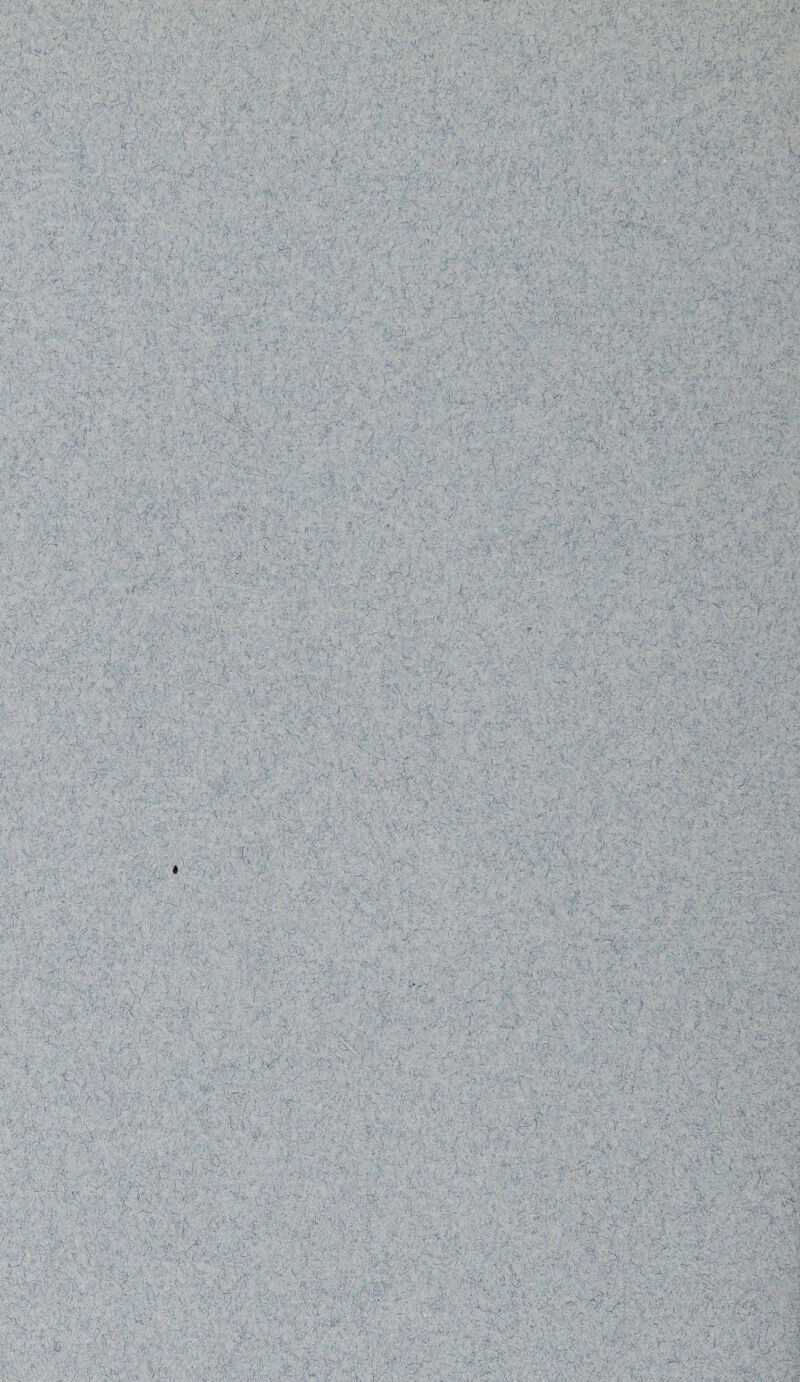 - > ■: • ■■■■■ - : ■ . vfi - '.V -> >:• /