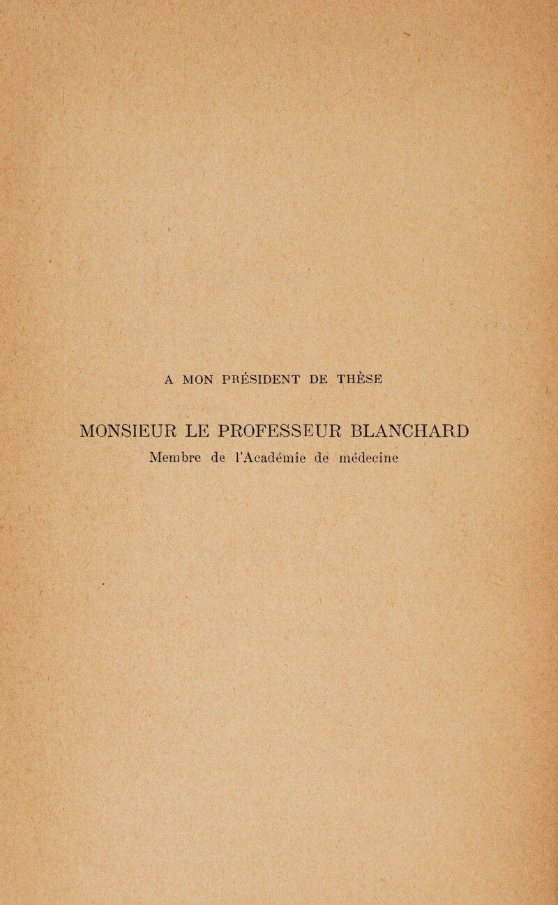 A MON PRÉSIDENT DE THÈSE MONSIEUR LE PROFESSEUR BLANCHARD Membre de l’Académie de médecine