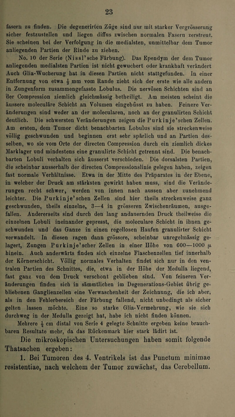 fasern zu finden. Die degenerirteu Züge sind nur mit starker Vcrgrösserung sicher festzustellen und liegen diffus zwischen normalen Fasern zerstreut. Sie scheinen bei der Verfolgung in die medialsten, unmittelbar dem Tumor anliegenden Partien der Rinde zu ziehen. No. 10 der Serie (NissPsehe Färbung). Das Ependym der dem Tumor anliegenden medialsten Partien ist nicht gewuchert oder krankhaft verändert Auch Glia-Wucherung hat in diesen Partien nicht stattgefunden. In einer Entfernung von etwa % mm vom Rande zieht sich der erste wie alle andern in Zungenform zusammengefasste Lobulus. Die nervösen Schichten sind an der Compression ziemlich gleichmässig betheiligt. Am meisten scheint die äussere moleculäre Schicht an Volumen eingebüsst zu haben. Feinere Ver¬ änderungen sind weder an der molecularen, noch an der granulirten Schicht deutlich. Die schwersten Veränderungen zeigen die Purk in je’sehen Zellen. Am ersten, dem Tumor dicht benachbarten Lobulus sind sie streckenweise völlig geschwunden und beginnen erst sehr spärlich und an Partien des¬ selben, wo sie vom Orte der directen Compression durch ein ziemlich dickes Marklager und mindestens eine granulirte Schicht getrennt sind. Die benach¬ barten Lobuli verhalten sich äusserst verschieden. Die dorsalsten Partien, die scheinbar ausserhalb der directen Compressionslinie gelegen haben, zeigen fast normale Verhältnisse. Etwa in der Mitte des Präparates in der Ebene, in welcher der Druck am stärksten gewirkt haben muss, sind die Verände¬ rungen recht schwer, werden von innen nach aussen aber zunehmend leichter. Die Purkinje’schen Zellen sind hier theils streckenweise ganz geschwunden, theils einzelne, 3—4 in grösseren Zwischenräumen, ausge¬ fallen. Andererseits sind durch den lang andauernden Druck theilweise die einzelnen Lobuli ineinander gepresst, die moleculäre Schicht in ihnen ge¬ schwunden und das Ganze in einen regellosen Haufen granulirter Schicht verwandelt. In diesen ragen dann grössere, scheinbar unregelmässig ge¬ lagert, Zungen Purkinje’scher Zellen in einer Höhe von 600—1000 p. hinein. Auch anderwärts finden sich einzelne Flaschenzellen tief innerhalb der Körnerschicht. Völlig normales Verhalten findet sich nur in den ven¬ tralen Partien des Schnittes, die, etwa in der Höhe der Medulla liegend, fast ganz von dem Druck verschont geblieben sind. Von feineren Ver¬ änderungen finden sich in sämmtlichen im Degenerations-Gebiet übrig ge¬ bliebenen Ganglienzellen eine Verwaschenheit der Zeichnung, die ich aber, als in den Fehlerbereich der Färbung fallend, nicht unbedingt als sicher gelten lassen möchte. Eine so starke Glia-Vermehrung, wie sie sich durchweg in der Medulla gezeigt hat, habe ich nicht finden können. Mehrere i- cm distal von Serie 4 gelegte Schnitte ergeben keine brauch¬ baren Resultate mehr, da das Rückenmark hier stark lädirt ist. Die mikroskopischen Untersuchungen haben somit folgende Thatsachen ergeben: 1. Bei Tumoren des 4. Ventrikels ist das Punctum minimae resistentiae, nach welchem der Tumor zuwächst, das Cerebellum.