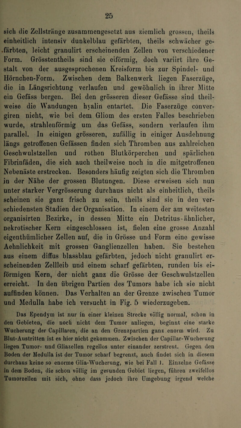 sich die Zellstränge zusammengesetzt aus ziemlich grossen, theils einheitlich intensiv dunkelblau gefärbten, theils schwächer ge- .färbten, leicht granulirt erscheinenden Zellen von verschiedener Form. Grösstentheils sind sie eiförmig, doch variirt ihre Ge¬ stalt von der ausgesprochenen Kreisform bis zur Spindel- und Hörnchen-Form. Zwischen dem Balkenwerk liegen Faserzüge, die in Längsrichtung verlaufen und gewöhnlich in ihrer Mitte ein Gefäss bergen. Bei den grösseren dieser Gefässe sind theil- weise die Wandungen hyalin entartet. Die Faserzüge conver- giren nicht, wie bei dem Gliom des ersten Falles beschrieben wurde, strahlenförmig um das Gefäss, sondern verlaufen ihm parallel. In einigen grösseren, zufällig in einiger Ausdehnung längs getroffenen Gefässen finden sich Thromben aus zahlreichen Geschwulstzellen und rothen Blutkörperchen und spärlichen Fibriufäden, die sich auch theilweise noch in die mitgetroffenen Nebenäste erstrecken. Besonders häufig zeigten sich die Thromben in der Nähe der grossen Blutungen. Diese erweisen sich nun unter starker Vergrösserung durchaus nicht als einheitlich, theils scheinen sie ganz frisch zu sein, theils sind sie in den ver¬ schiedensten Stadien der Organisation. In einem der am weitesten organisirten Bezirke, in dessen Mitte ein Detritus-ähnlicher, nekrotischer Kern eingeschlossen ist, fielen eine grosse Anzahl eigentümlicher Zellen auf, die in Grösse und Form eine gewisse Aehnlichkeit mit grossen Ganglienzellen haben. Sie bestehen aus einem diffus blassblau gefärbten, jedoch nicht granulirt er¬ scheinenden Zellleib und einem scharf gefärbten, runden bis ei¬ förmigen Kern, der nicht ganz die Grösse der Geschwulstzellen erreicht. In den übrigen Partien des Tumors habe ich sie nicht auffinden können. Das Verhalten an der Grenze zwischen Tumor und Medulla habe ich versucht in Fig. 5 wiederzugeben. Das Ependym ist nur in einer kleinen Strecke völlig normal, schon in den Gebieten, die noch nicht dem Tumor anliegen, beginnt eine starke Wucherung der Capillaren, die an den Grenzpartien ganz enorm wird. Zu Blut-Austritten ist es hier nicht gekommen. Zwischen der Capillar-Wucherung liegen Tumor- und Gliazellen regellos unter einander zerstreut. Gegen den Boden der Medulla ist der Tumor scharf begrenzt, auch findet sich in diesem durchaus keine so enorme Glia-Wucherung, wie bei Fall 1. Einzelne Gefässe in dem Boden, die schon völlig im gesunden Gebiet liegen, führen zweifellos Tumorzellen mit sich, ohne dass jedoch ihre Umgebung irgend welche