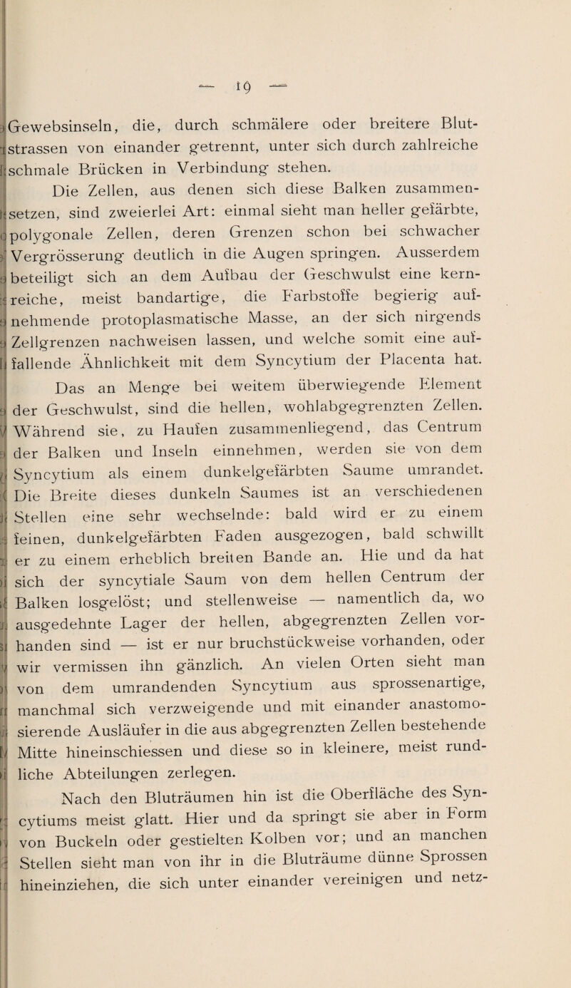 »Gewebsinseln, die, durch schmälere oder breitere Blut- ij Strassen von einander getrennt, unter sich durch zahlreiche 1 schmale Brücken in Verbindung stehen. Die Zellen, aus denen sich diese Balken zusammen- | setzen, sind zweierlei Art: einmal sieht man heller gefärbte, i polygonale Zellen, deren Grenzen schon bei schwacher | Vergrösserung deutlich in die Augen springen. Ausserdem e beteiligt sich an dem Aufbau der Geschwulst eine kern- S. reiche, meist bandartige, die Farbstoffe begierig auf- s nehmende protoplasmatische Masse, an der sich nirgends j Zellgrenzen nachweisen lassen, und welche somit eine auf- j fallende Ähnlichkeit mit dem Syncytium der Placenta hat. Das an Menge bei weitem überwiegende Element | der Geschwulst, sind die hellen, wohl abgegrenzten Zellen, d Während sie, zu Haufen zusammenliegend, das Centrum I der Balken und Inseln einnehmen, werden sie von dem J Syncytium als einem dunkelgefärbten Saume umrandet. 4 Die Breite dieses dunkeln Saumes ist an verschiedenen ji Stellen eine sehr wechselnde: bald wird er zu einem I feinen, dunkelgefärbten Faden ausgezogen, bald schwillt er zu einem erheblich breiten Bande an. Hie und da hat >5 sich der syncytiale Saum von dem hellen Centrum der j Balken losgelöst; und stellenweise — namentlich da, wo ausgedehnte Lager der hellen, abgegrenzten Zellen vor¬ handen sind — ist er nur bruchstückweise vorhanden, oder wir vermissen ihn gänzlich. An vielen Orten sieht man von dem umrandenden Syncytium aus sprossenartige, l manchmal sich verzweigende und mit einander anastomo- sierende Ausläufer in die aus abgegrenzten Zellen bestehende 1 Mitte hineinschiessen und diese so in kleinere, meist rund- ä liehe Abteilungen zerlegen. Nach den Bluträumen hin ist die Oberfläche des Syn- | cytiums meist glatt. Hier und da springt sie aber in borm i von Buckeln oder gestielten Kolben vor; und an manchen ■ Stellen sieht man von ihr in die Bluträume dünne Sprossen i hineinziehen, die sich unter einander vereinigen und netz-