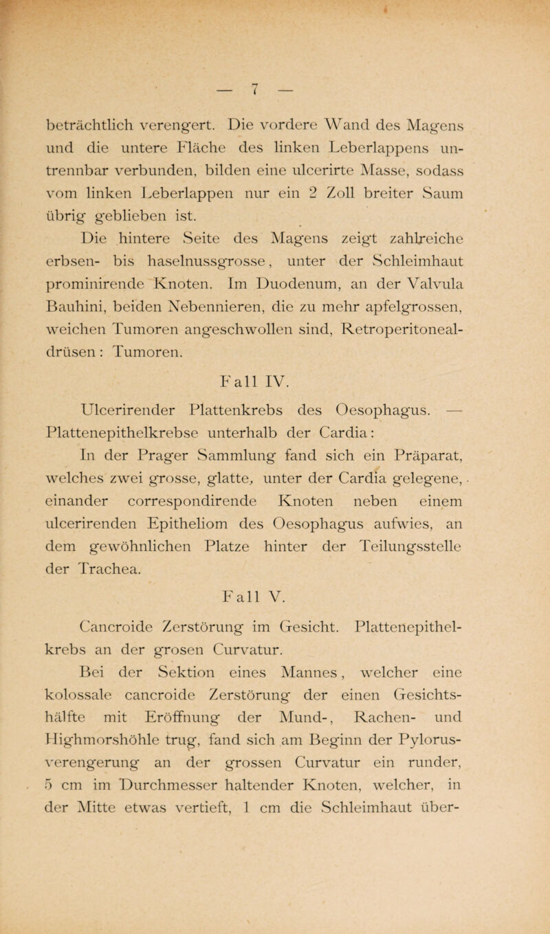 * — beträchtlich verengert. Die vordere Wand des Magens und die untere Fläche des linken .Leberlappens un¬ trennbar verbunden, bilden eine ulcerirte Masse, sodass vom linken Leberlappen nur ein 2 Zoll breiter Saum übrig geblieben ist. Die hintere Seite des Magens zeigt zahlreiche erbsen- bis haselnussgrosse, unter der Schleimhaut prominirende Knoten. Im Duodenum, an der Valvula Bauhini, beiden Nebennieren, die zu mehr apfelgrossen, weichen Tumoren angeschwollen sind, Retroperitoneal- drüsen: Tumoren. Fall IV. Ulcerirender Plattenkrebs des Oesophagus. — Plattenepithelkrebse unterhalb der Cardia: In der Prager Sammlung fand sich ein Präparat, welches zwei grosse, glatte, unter der Cardia gelegene, einander correspondirende Knoten neben einem ulcerirenden Epitheliom des Oesophagus aufwies, an dem gewöhnlichen Platze hinter der Teilungsstelle der Trachea. Fall V. Cancroide Zerstörung im Gesicht. Plattenepithel¬ krebs an der grosen Curvatur. Bei der Sektion eines Mannes, welcher eine kolossale cancroide Zerstörung der einen Gesichts¬ hälfte mit Eröffnung der Mund-, Rachen- und Highmorshöhle trug, fand sich am Beginn der Pylorus- verengerung an der grossen Curvatur ein runder, 5 cm im Durchmesser haltender Knoten, welcher, in