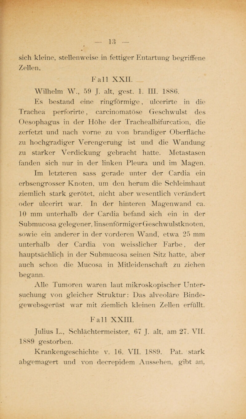 ¥ sich kleine, stellenweise in fettiger Entartung begriffene Zellen. Fall XXII. Wilhelm W., 59 J. alt, gest. 1. III. 1885. Es bestand eine ringförmige, ulcerirte in die Trachea perforirte, carcinomatöse Geschwulst des Oesophagus in der Höhe der Trachealbifurcation, die zerfetzt und nach vorne zu von brandiger Oberfläche zu hochgradiger Verengerung ist und die Wandung zu starker Verdickung gebracht hatte. Metastasen fanden sich nur in der linken Pleura und im Magen. Im letzteren sass gerade unter der Cardia ein erbsengrosser Knoten, um den herum die Schleimhaut ziemlich stark gerötet, nicht aber wesentlich verändert oder ulcerirt war. In der hinteren Mag'enwatid ca. 10 mm unterhalb der Cardia befand sich ein in der Submucosa gelegener, linsenförmiger Geschwulstknoten, sowie ein anderer in der vorderen Wand, etwa 25 mm unterhalb der Cardia von weisslicher Farbe, der hauptsächlich in der Submucosa seinen Sitz hatte, aber auch schon die Mucosa in Mitleidenschaft zu ziehen begann. Alle Tumoren waren laut mikroskopischer Unter¬ suchung von gleicher Struktur: Das alveoläre Binde¬ ge websgeriist war mit ziemlich kleinen Zellen erfüllt. Fall XXIII. Julius L., Schlächtermeister, 67 J. alt, am 27. VII. 1889 gestorben. Krankengeschichte v. 16. VH. 1889. Pat. stark abgemagert und von decrepidem Aussehen, gibt an,