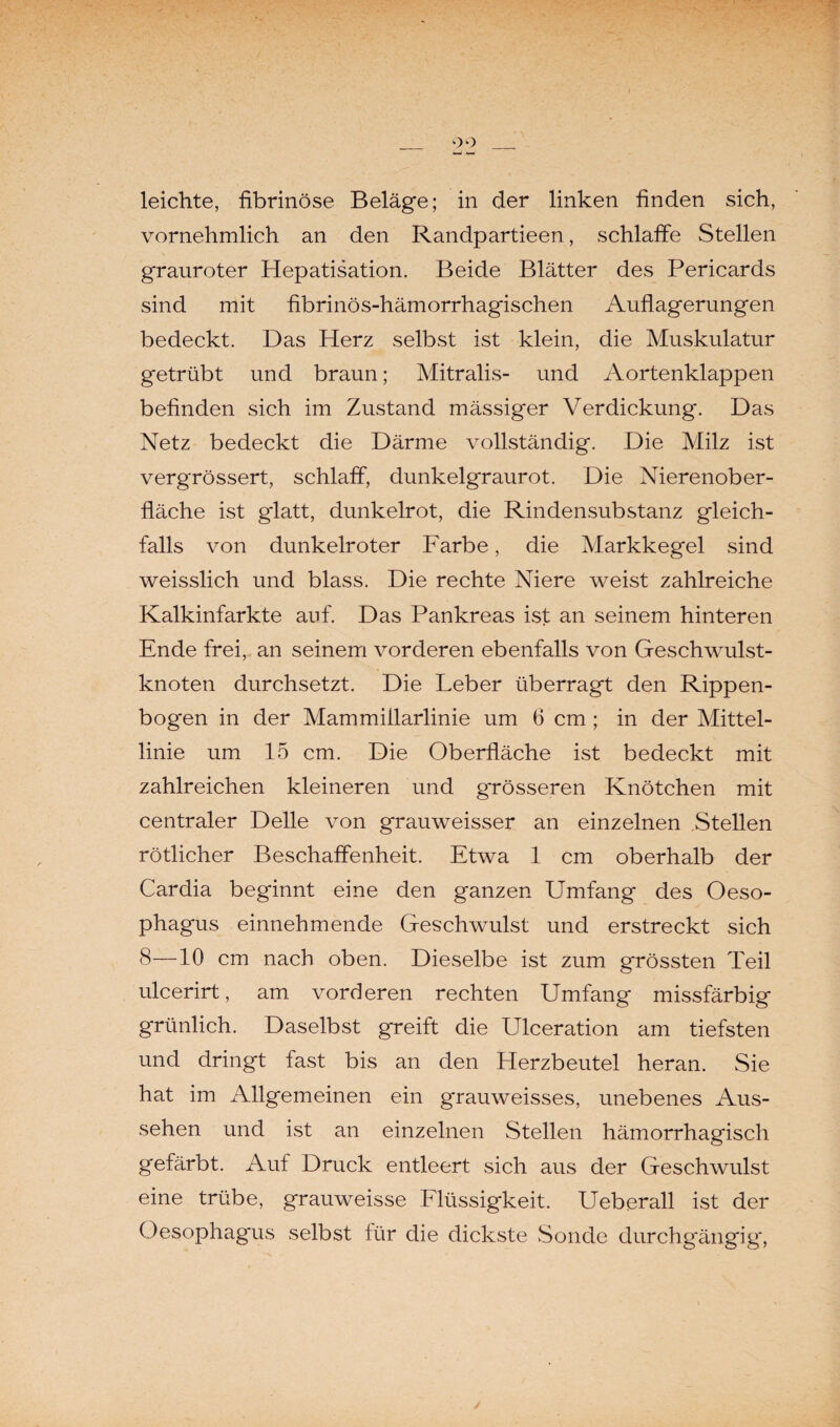 leichte, fibrinöse Beläge; in der linken finden sich, vornehmlich an den Randpartieen, schlaffe Stellen grauroter Hepatisation. Beide Blätter des Pericards sind mit fibrinös-hämorrhagischen Auflagerungen bedeckt. Das Herz selbst ist klein, die Muskulatur getrübt und braun; Mitralis- und Aortenklappen befinden sich im Zustand mässiger Verdickung. Das Netz bedeckt die Därme vollständig. Die Milz ist vergrössert, schlaff, dunkelgraurot. Die Nierenober¬ fläche ist glatt, dunkelrot, die Rindensubstanz gleich¬ falls von dunkelroter Farbe, die Markkegel sind weisslich und blass. Die rechte Niere weist zahlreiche Kalkinfarkte auf. Das Pankreas ist an seinem hinteren Ende frei, an seinem vorderen ebenfalls von Geschwulst¬ knoten durchsetzt. Die Leber überragt den Rippen¬ bogen in der Mammiilarlinie um 6 cm ; in der Mittel¬ linie um 15 cm. Die Oberfläche ist bedeckt mit zahlreichen kleineren und grösseren Knötchen mit centraler Delle von grauweisser an einzelnen Stellen rötlicher Beschaffenheit. Etwa 1 cm oberhalb der Cardia beginnt eine den ganzen Umfang des Oeso¬ phagus einnehmende Geschwulst und erstreckt sich 8—10 cm nach oben. Dieselbe ist zum grössten Teil ulcerirt, am vorderen rechten Umfang missfärbig grünlich. Daselbst greift die Ulceration am tiefsten und dringt fast bis an den Herzbeutel heran. Sie hat im Allgemeinen ein g'rauweisses, unebenes Aus¬ sehen und ist an einzelnen Stellen hämorrhagisch gefärbt. Auf Druck entleert sich aus der Geschwulst eine trübe, grauweisse Flüssigkeit. Ueberall ist der Oesophagus selbst für die dickste Sonde durchgängig,