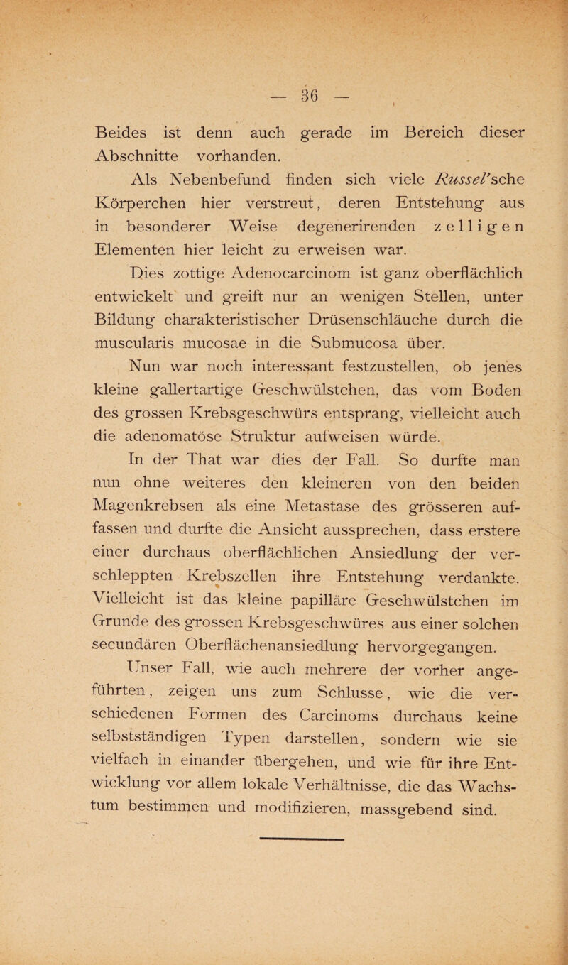 _ Beides ist denn auch gerade im Bereich dieser Abschnitte vorhanden. Als Nebenbefund finden sich viele Rüssel’sehe Körperchen hier verstreut, deren Entstehung aus in besonderer Weise degenerirenden z e 11 i g e n Elementen hier leicht zu erweisen war. Dies zottige Adenocarcinom ist ganz oberflächlich entwickelt und greift nur an wenigen Stellen, unter Bildung charakteristischer Drüsenschläuche durch die muscularis mucosae in die Submucosa über. Nun war noch interessant festzustellen, ob jenes kleine gallertartige Geschwülstchen, das vom Boden des grossen Krebsgeschwürs entsprang, vielleicht auch die adenomatöse Struktur aulweisen würde. In der That war dies der Fall. So durfte man nun ohne weiteres den kleineren von den beiden Magenkrebsen als eine Metastase des grösseren auf¬ fassen und durfte die Ansicht aussprechen, dass erstere einer durchaus oberflächlichen Ansiedlung der ver¬ schleppten Krebszellen ihre Entstehung verdankte. \ ielleicht ist das kleine papilläre Geschwülstchen im Grunde des grossen Krebsgeschwüres aus einer solchen secundären Oberflächenansiedlung hervorgegangen. Lnser Pall, wie auch mehrere der vorher ange¬ führten , zeigen uns zum Schlüsse, wie die ver¬ schiedenen Pormen des Carcinoms durchaus keine selbstständigen i ypen darstellen, sondern wie sie vielfach in einander übergehen, und wie für ihre Ent¬ wicklung vor allem lokale Verhältnisse, die das Wachs¬ tum bestimmen und modifizieren, massgebend sind.