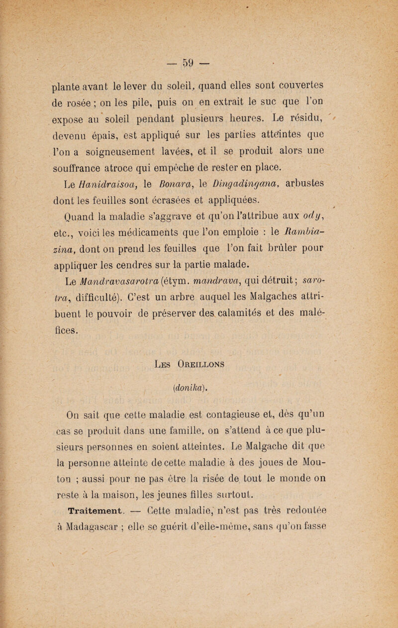 plante avant le lever du soleil, quand elles sont couvertes de rosée ; on les pile, puis on en extrait le suc que l’on expose au soleil pendant plusieurs heures. Le résidu, devenu épais, est appliqué sur les parties atteintes que l’on a soigneusement lavées, et il se produit alors une souffrance atroce qui empêche de rester en place. Le Hanidraisoa, le Sonar a, le Dmgadingcina, arbustes dont les feuilles sont écrasées et appliquées. Quand la maladie s’aggrave et qu’on l’attribue aux ody, etc., voici les médicaments que l’on emploie : le Rambia- zina, dont on prend les feuilles que l’on fait brûler pour appliquer les cendres sur la partie malade. Le Mandravasarotra (étym. mandrava, qui détruit; saro- tra, difficulté). C’est un arbre auquel les Malgaches attri¬ buent le pouvoir de préserver des calamités et des malé¬ fices. Les Oreillons (idonika). On sait que cette maladie est contagieuse et, dès qu’un cas se produit dans une famille, on s’attend à ce que plu¬ sieurs personnes en soient atteintes. Le Malgache dit que la personne atteinte de cette maladie à des joues de Mou¬ ton ; aussi pour ne pas être la risée de tout le monde on reste à la maison, les jeunes filles surtout. Traitement. — Cette maladie, n’est pas très redoutée à Madagascar ; elle se guérit d’elle-mème, sans qu’on fasse