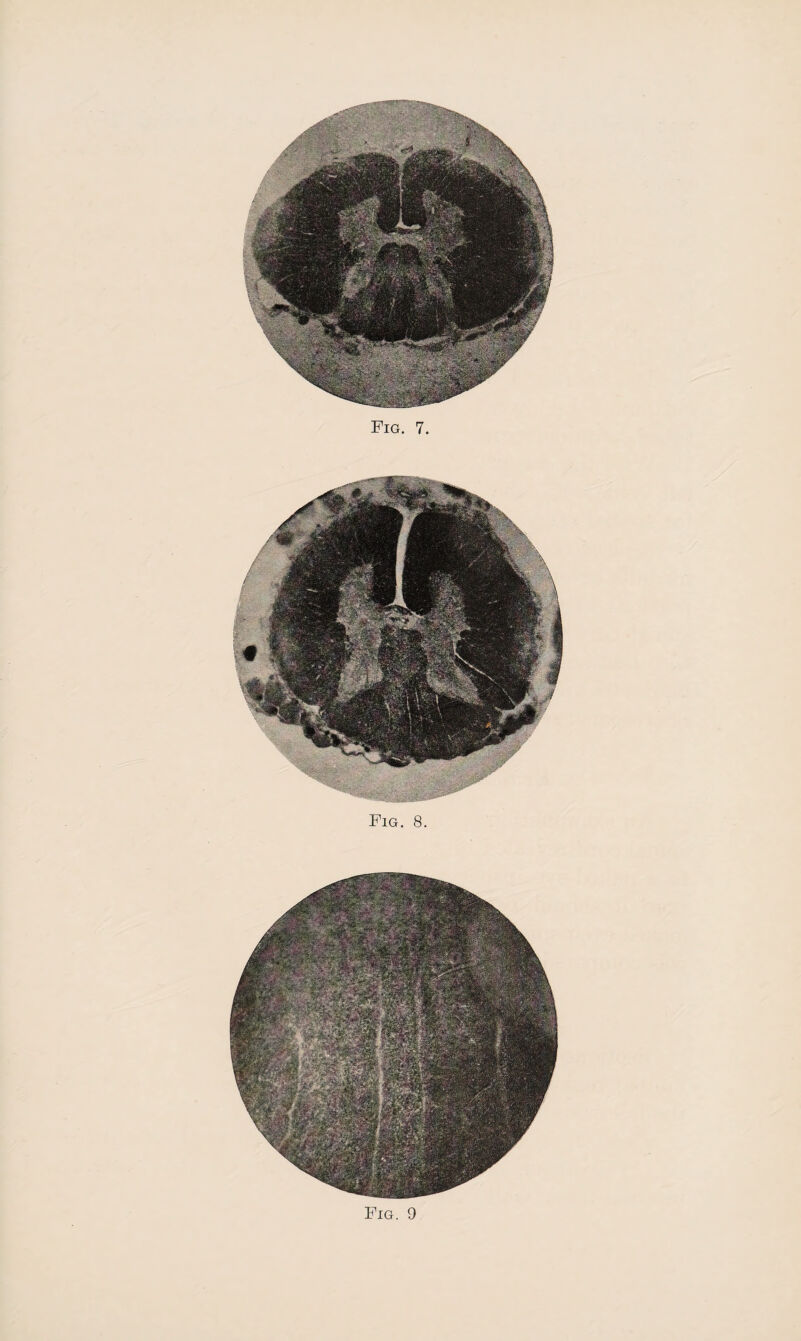 Fig. 9