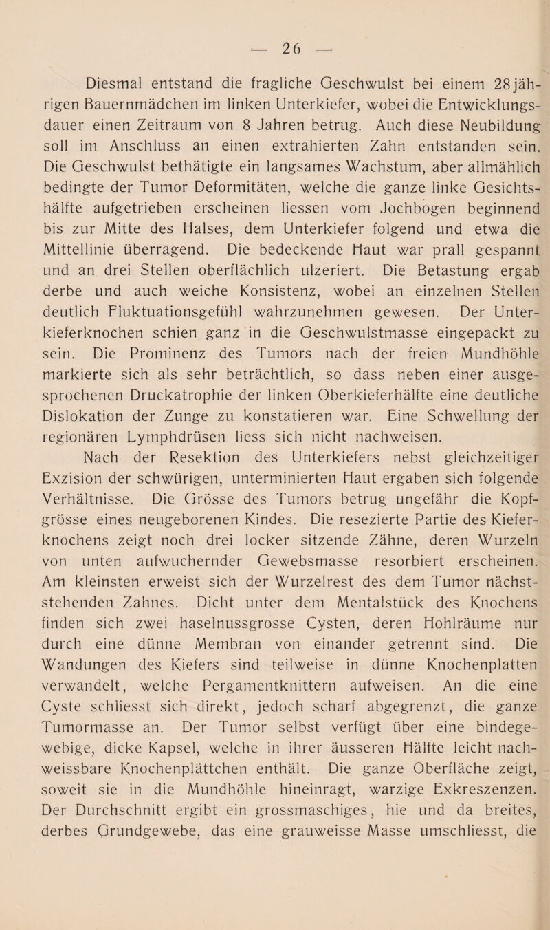 Diesmal entstand die fragliche Geschwulst bei einem 28jäh¬ rigen Bauernmädchen im linken Unterkiefer, wobei die Entwicklungs¬ dauer einen Zeitraum von 8 Jahren betrug. Auch diese Neubildung soll im Anschluss an einen extrahierten Zahn entstanden sein. Die Geschwulst bethätigte ein langsames Wachstum, aber allmählich bedingte der Tumor Deformitäten, welche die ganze linke Gesichts¬ hälfte aufgetrieben erscheinen dessen vom Jochbogen beginnend bis zur Mitte des Halses, dem Unterkiefer folgend und etwa die Mittellinie überragend. Die bedeckende Haut war prall gespannt und an drei Stellen oberflächlich ulzeriert. Die Betastung ergab derbe und auch weiche Konsistenz, wobei an einzelnen Stellen deutlich Fluktuationsgefühl wahrzunehmen gewesen. Der Unter¬ kieferknochen schien ganz in die Geschwulstmasse eingepackt zu sein. Die Prominenz des Tumors nach der freien Mundhöhle markierte sich als sehr beträchtlich, so dass neben einer ausge¬ sprochenen Druckatrophie der linken Oberkieferhälfte eine deutliche Dislokation der Zunge zu konstatieren war. Eine Schwellung der regionären Lymphdrüsen liess sich nicht nachweisen. Nach der Resektion des Unterkiefers nebst gleichzeitiger Exzision der schwürigen, unterminierten Haut ergaben sich folgende Verhältnisse. Die Grösse des Tumors betrug ungefähr die Kopf¬ grösse eines neugeborenen Kindes. Die resezierte Partie des Kiefer¬ knochens zeigt noch drei locker sitzende Zähne, deren Wurzeln von unten aufwuchernder Gewebsmasse resorbiert erscheinen. Am kleinsten erweist sich der Wurzelrest des dem Tumor nächst¬ stehenden Zahnes. Dicht unter dem Mentalstück des Knochens finden sich zwei haselnussgrosse Cysten, deren Hohlräume nur durch eine dünne Membran von einander getrennt sind. Die Wandungen des Kiefers sind teilweise in dünne Knochenplatten verwandelt, welche Pergamentknittern aufweisen. An die eine Cyste schliesst sich direkt, jedoch scharf abgegrenzt, die ganze Tumormasse an. Der Tumor selbst verfügt über eine bindege¬ webige, dicke Kapsel, welche in ihrer äusseren Hälfte leicht nach¬ weissbare Knochenplättchen enthält. Die ganze Oberfläche zeigt, soweit sie in die Mundhöhle hineinragt, warzige Exkreszenzen. Der Durchschnitt ergibt ein grossmaschiges, hie und da breites, derbes Grundgewebe, das eine grauweisse Masse umschliesst, die