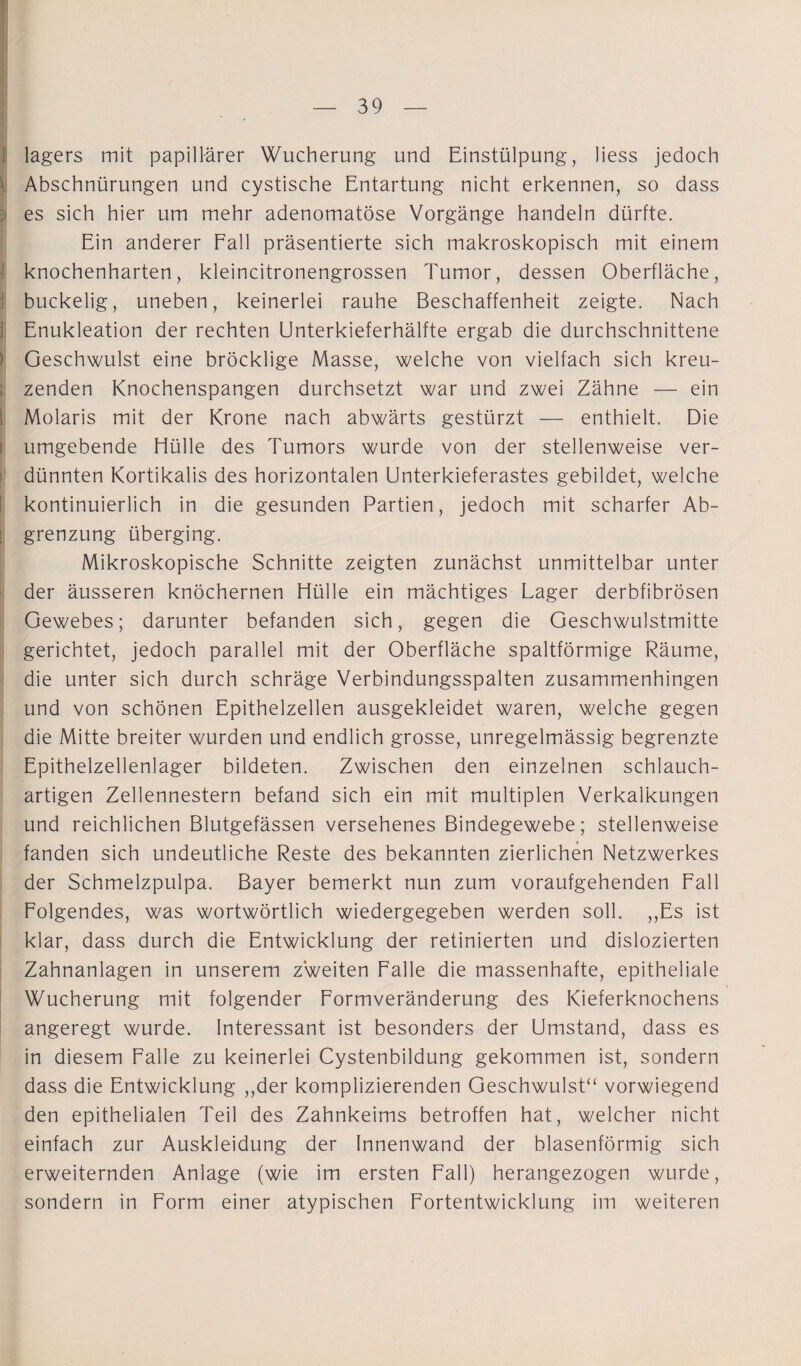 lagers mit papillärer Wucherung und Einstülpung, liess jedoch Abschnürungen und cystische Entartung nicht erkennen, so dass es sich hier um mehr adenomatöse Vorgänge handeln dürfte. Ein anderer Fall präsentierte sich makroskopisch mit einem knochenharten, kleincitronengrossen Tumor, dessen Oberfläche, buckelig, uneben, keinerlei rauhe Beschaffenheit zeigte. Nach Enukleation der rechten Unterkieferhälfte ergab die durchschnittene Geschwulst eine bröcklige Masse, welche von vielfach sich kreu- ; zenden Knochenspangen durchsetzt war und zwei Zähne — ein 1 Molaris mit der Krone nach abwärts gestürzt — enthielt. Die umgebende Hülle des Tumors wurde von der stellenweise ver¬ dünnten Kortikalis des horizontalen Unterkieferastes gebildet, welche kontinuierlich in die gesunden Partien, jedoch mit scharfer Ab- I grenzung überging. Mikroskopische Schnitte zeigten zunächst unmittelbar unter der äusseren knöchernen Hülle ein mächtiges Lager derbfibrösen Gewebes; darunter befanden sich, gegen die Geschwulstmitte gerichtet, jedoch parallel mit der Oberfläche spaltförmige Räume, die unter sich durch schräge Verbindungsspalten zusammenhingen und von schönen Epithelzellen ausgekleidet waren, welche gegen die Mitte breiter wurden und endlich grosse, unregelmässig begrenzte Epithelzellenlager bildeten. Zwischen den einzelnen schlauch¬ artigen Zellennestern befand sich ein mit multiplen Verkalkungen und reichlichen Blutgefässen versehenes Bindegewebe; stellenweise fanden sich undeutliche Reste des bekannten zierlichen Netzwerkes der Schmelzpulpa. Bayer bemerkt nun zum voraufgehenden Fall Folgendes, was wortwörtlich wiedergegeben werden soll. ,,Es ist klar, dass durch die Entwicklung der retinierten und dislozierten Zahnanlagen in unserem zweiten Falle die massenhafte, epitheliale Wucherung mit folgender Formveränderung des Kieferknochens angeregt wurde. Interessant ist besonders der Umstand, dass es in diesem Falle zu keinerlei Cystenbildung gekommen ist, sondern dass die Entwicklung „der komplizierenden Geschwulst“ vorwiegend den epithelialen Teil des Zahnkeims betroffen hat, welcher nicht einfach zur Auskleidung der Innenwand der blasenförmig sich erweiternden Anlage (wie im ersten Fall) herangezogen wurde, sondern in Form einer atypischen Fortentwicklung im weiteren