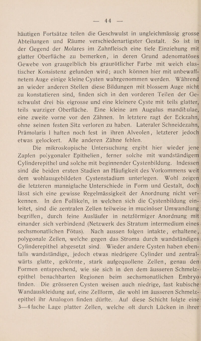 häutigen Fortsätze teilen die Geschwulst in ungleichmässig grosse Abteilungen und Räume verschiedenartigster Gestalt. So ist in der Gegend der Molares im Zahnfleisch eine tiefe Einziehung mit glatter Oberfläche zu bemerken, in deren Grund adenomatöses Gewebe von graugelblich bis graurötlicher Farbe mit weich elas¬ tischer Konsistenz gefunden wird; auch können hier mit unbewaff¬ netem Auge einige kleine Cysten wahrgenommen werden. Während an wieder anderen Stellen diese Bildungen mit blossem Auge nicht zu konstatieren sind, finden sich in den vorderen Teilen der Ge¬ schwulst drei bis eigrosse und eine kleinere Cyste mit teils glatter, teils warziger Oberfläche. Eine kleine am Augulus mandibulae, eine zweite vorne vor den Zähnen. In letztere ragt der Eckzahn, ohne seinen festen Sitz verloren zu haben. Lateraler Schneidezahn, Prämolaris 1 haften noch fest in ihren Alveolen, letzterer jedoch etwas gelockert. Alle anderen Zähne fehlen. Die mikroskopische Untersuchung ergibt hier wieder jene Zapfen polygonaler Epithelien, ferner solche mit wandständigem Cylinderepithel und solche mit beginnender Cystenbildung. Indessen sind die beiden ersten Stadien an Häufigkeit des Vorkommens weit dem wohlausgebildeten Cystenstadium unterlegen. Wohl zeigen die letzteren mannigfache Unterschiede in Form und Gestalt, doch lässt sich eine gewisse Regelmässigkeit der Anordnung nicht ver¬ kennen. In den Follikeln, in welchen sich die Cystenbildung ein¬ leitet, sind die zentralen Zellen teilweise in mucinöser Umwandlung begriffen, durch feine Ausläufer in netzförmiger Anordnung mit einander sich verbindend (Netzwerk des Stratum intermedium eines sechsmonatlichen Fötus). Nach aussen folgen intakte, erhaltene, polygonale Zellen, welche gegen das Stroma durch wandständiges Cylinderepithel abgesetzt sind. Wieder andere Cysten haben eben¬ falls wandständige, jedoch etwas niedrigere Cylinder und zentral- wärts glatte, gekörnte, stark aufgequollene Zellen, genau dem Formen entsprechend, wie sie sich in den dem äusseren Schmelz-1 epithel benachbarten Regionen beim sechsmonatlichen Embryo i' finden. Die grösseren Cysten weisen auch niedrige, fast kubische Wandauskleidung auf, eine Zellform, die wohl im äusseren Schmelz¬ epithel ihr Analogon finden dürfte. Auf diese Schicht folgte eine 3—4 fache Lage platter Zellen, welche oft durch Lücken in ihrer