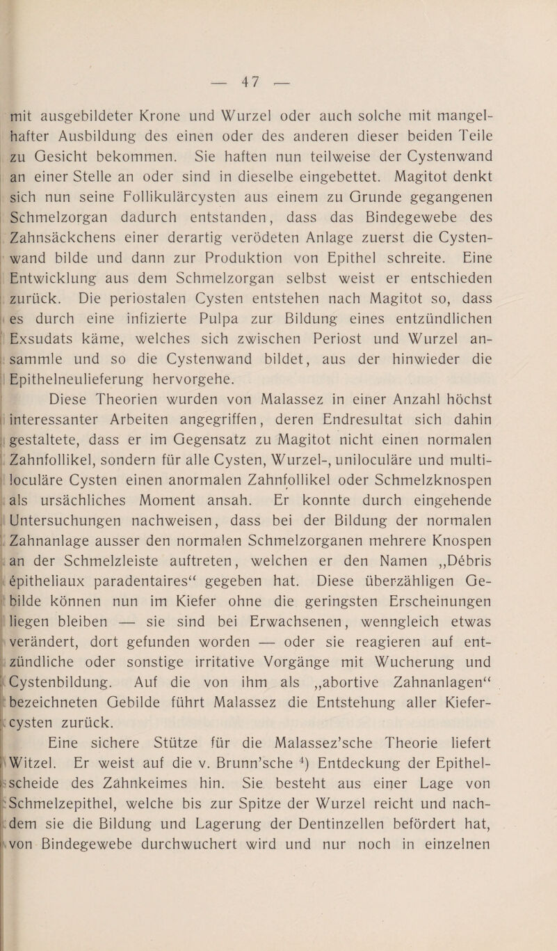 mit ausgebildeter Krone und Wurzel oder auch solche mit mangel¬ hafter Ausbildung des einen oder des anderen dieser beiden Teile zu Gesicht bekommen. Sie haften nun teilweise der Cystenwand an einer Stelle an oder sind in dieselbe eingebettet. Magitot denkt sich nun seine Follikulärcysten aus einem zu Grunde gegangenen Schmelzorgan dadurch entstanden, dass das Bindegewebe des Zahnsäckchens einer derartig verödeten Anlage zuerst die Cysten¬ wand bilde und dann zur Produktion von Epithel schreite. Eine Entwicklung aus dem Schmelzorgan selbst weist er entschieden zurück. Die periostalen Cysten entstehen nach Magitot so, dass es durch eine infizierte Pulpa zur Bildung eines entzündlichen Exsudats käme, welches sich zwischen Periost und Wurzel an¬ sammle und so die Cystenwand bildet, aus der hinwieder die Epithelneulieferung hervorgehe. Diese Theorien wurden von Malassez in einer Anzahl höchst interessanter Arbeiten angegriffen, deren Endresultat sich dahin gestaltete, dass er im Gegensatz zu Magitot nicht einen normalen Zahnfollikel, sondern für alle Cysten, Wurzel-, uniloculäre und multi- loculäre Cysten einen anormalen Zahnfollikel oder Schmelzknospen als ursächliches Moment ansah. Er konnte durch eingehende Untersuchungen nachweisen, dass bei der Bildung der normalen Zahnanlage ausser den normalen Schmelzorganen mehrere Knospen an der Schmelzleiste auftreten, welchen er den Namen „Debris epitheliaux paradentaires“ gegeben hat. Diese überzähligen Ge¬ bilde können nun im Kiefer ohne die geringsten Erscheinungen liegen bleiben — sie sind bei Erwachsenen, wenngleich etwas verändert, dort gefunden worden — oder sie reagieren auf ent¬ zündliche oder sonstige irritative Vorgänge mit Wucherung und Cystenbildung. Auf die von ihm als ,,abortive Zahnanlagen“ bezeichneten Gebilde führt Malassez die Entstehung aller Kiefer¬ cysten zurück. Eine sichere Stütze für die Malassez’sche Theorie liefert i Witzei. Er weist auf die v. Brunn’sche 4) Entdeckung der Epithel- ; scheide des Zähnkeimes hin. Sie besteht aus einer Lage von j Schmelzepithel, welche bis zur Spitze der Wurzel reicht und nach¬ dem sie die Bildung und Lagerung der Dentinzellen befördert hat, von Bindegewebe durchwuchert wird und nur noch in einzelnen