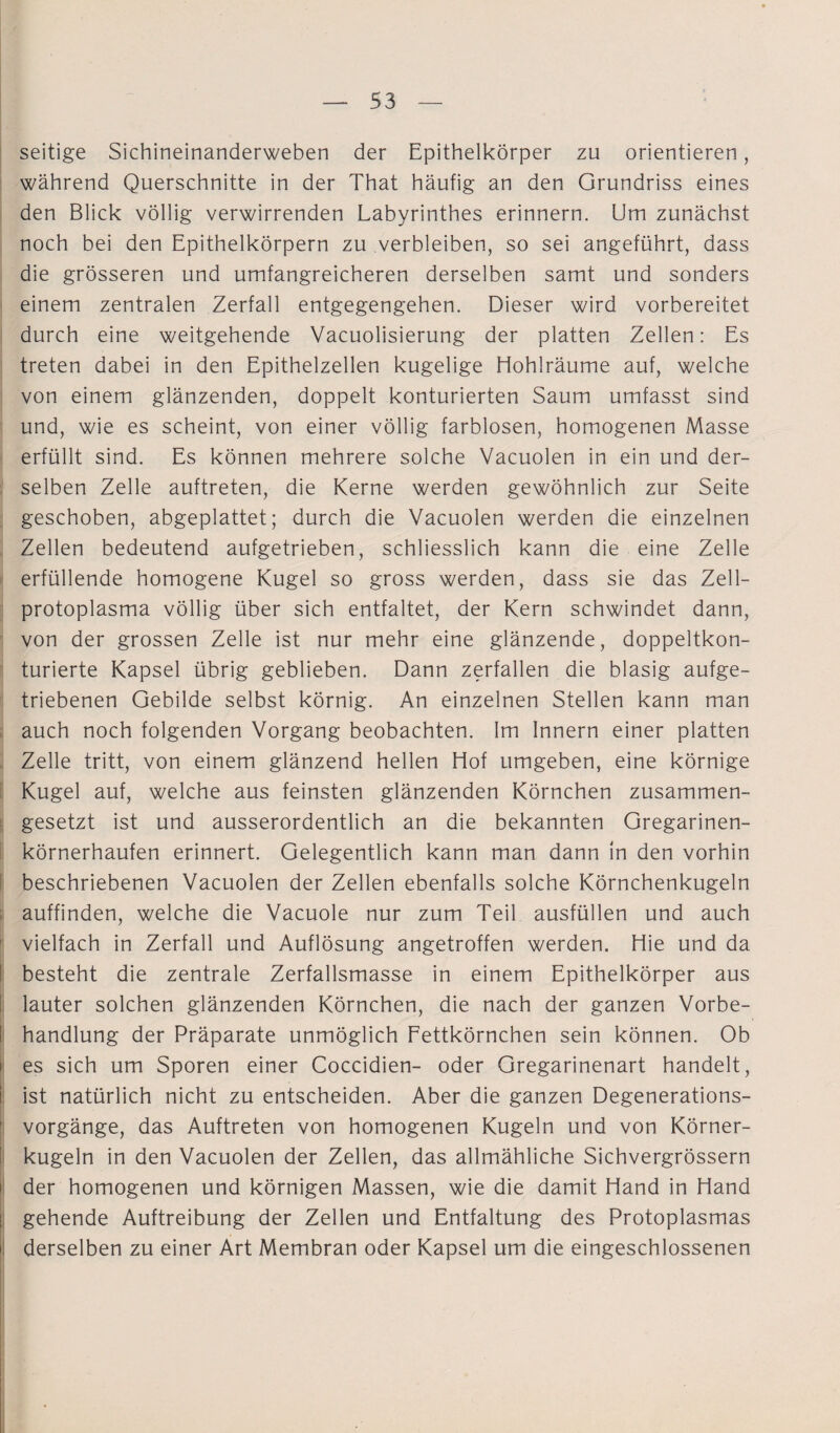 seitige Sichineinanderweben der Epithelkörper zu orientieren, während Querschnitte in der That häufig an den Grundriss eines den Blick völlig verwirrenden Labyrinthes erinnern. Um zunächst noch bei den Epithelkörpern zu verbleiben, so sei angeführt, dass die grösseren und umfangreicheren derselben samt und sonders einem zentralen Zerfall entgegengehen. Dieser wird vorbereitet durch eine weitgehende Vacuolisierung der platten Zellen: Es treten dabei in den Epithelzellen kugelige Hohlräume auf, welche von einem glänzenden, doppelt konturierten Saum umfasst sind und, wie es scheint, von einer völlig farblosen, homogenen Masse erfüllt sind. Es können mehrere solche Vacuolen in ein und der¬ selben Zelle auftreten, die Kerne werden gewöhnlich zur Seite geschoben, abgeplattet; durch die Vacuolen werden die einzelnen Zellen bedeutend aufgetrieben, schliesslich kann die eine Zelle erfüllende homogene Kugel so gross werden, dass sie das Zell¬ protoplasma völlig über sich entfaltet, der Kern schwindet dann, von der grossen Zelle ist nur mehr eine glänzende, doppeltkon- turierte Kapsel übrig geblieben. Dann zerfallen die blasig aufge¬ triebenen Gebilde selbst körnig. An einzelnen Stellen kann man auch noch folgenden Vorgang beobachten. Im Innern einer platten Zelle tritt, von einem glänzend hellen Hof umgeben, eine körnige Kugel auf, welche aus feinsten glänzenden Körnchen zusammen¬ gesetzt ist und ausserordentlich an die bekannten Gregarinen- körnerhaufen erinnert. Gelegentlich kann man dann in den vorhin beschriebenen Vacuolen der Zellen ebenfalls solche Körnchenkugeln auffinden, welche die Vacuole nur zum Teil ausfüllen und auch vielfach in Zerfall und Auflösung angetroffen werden. Hie und da besteht die zentrale Zerfallsmasse in einem Epithelkörper aus lauter solchen glänzenden Körnchen, die nach der ganzen Vorbe¬ handlung der Präparate unmöglich Fettkörnchen sein können. Ob es sich um Sporen einer Coccidien- oder Gregarinenart handelt, i ist natürlich nicht zu entscheiden. Aber die ganzen Degenerations¬ vorgänge, das Auftreten von homogenen Kugeln und von Körner¬ kugeln in den Vacuolen der Zellen, das allmähliche Sichvergrössern der homogenen und körnigen Massen, wie die damit Hand in Hand gehende Auftreibung der Zellen und Entfaltung des Protoplasmas derselben zu einer Art Membran oder Kapsel um die eingeschlossenen