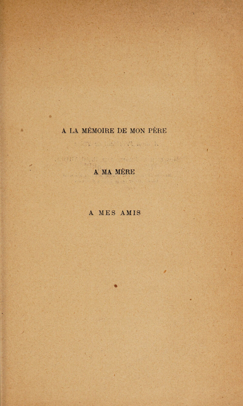 A LA MÉMOIRE DE MON PÈRE •». •. v. . * •«._ > - A' “ -■ v; '? v * A MA MÈRE A MES AMIS