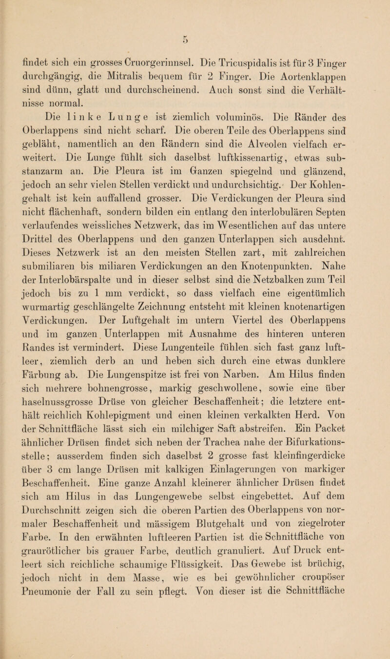 findet sich ein grosses Cruorgerinnsel. Die Tricuspidalis ist für 3 Finger durchgängig, die Mitralis bequem für 2 Finger. Die Aortenklappen sind dünn, glatt und durchscheinend. Auch sonst sind die Verhält¬ nisse normal. Die linke Lunge ist ziemlich voluminös. Die Ränder des Oberlappens sind nicht scharf. Die oberen Teile des Oberlappens sind gebläht, namentlich an den Rändern sind die Alveolen vielfach er¬ weitert. Die Lunge fühlt sich daselbst luftkissenartig, etwas sub¬ stanzarm an. Die Pleura ist im Ganzen spiegelnd und glänzend, jedoch an sehr vielen Stellen verdickt und undurchsichtig.- Der Kohlen¬ gehalt ist kein auffallend grosser. Die Verdickungen der Pleura sind nicht flächenhaft, sondern bilden ein entlang den interlobulären Septen verlaufendes weissliches Netzwerk, das im Wesentlichen auf das untere Drittel des Oberlappens und den ganzen Unterlappen sich ausdehnt. Dieses Netzwerk ist an den meisten Stellen zart, mit zahlreichen submiliaren bis miliaren Verdickungen an den Knotenpunkten. Nahe der Interlobärspalte und in dieser selbst sind die Netzbalken zum Teil jedoch bis zu 1 mm verdickt, so dass vielfach eine eigentümlich wurmartig geschlängelte Zeichnung entsteht mit kleinen knotenartigen Verdickungen. Der Luftgehalt im untern Viertel des Oberlappens und im ganzen Unterlappen mit Ausnahme des hinteren unteren Randes ist vermindert. Diese Lungenteile fühlen sich fast ganz luft¬ leer, ziemlich derb an und heben sich durch eine etwas dunklere Färbung ab. Die Lungenspitze ist frei von Narben. Am Hilus finden sich mehrere bohnengrosse, markig geschwollene, sowie eine über haselnussgrosse Drüse von gleicher Beschaffenheit; die letztere ent¬ hält reichlich Kohlepigment und einen kleinen verkalkten Herd. Von der Schnittfläche lässt sich ein milchiger Saft abstreifen. Ein Packet ähnlicher Drüsen findet sich neben der Trachea nahe der Bifurkations¬ stelle; ausserdem finden sich daselbst 2 grosse fast kleinfingerdicke über 3 cm lange Drüsen mit kalkigen Einlagerungen von markiger Beschaffenheit. Eine ganze Anzahl kleinerer ähnlicher Drüsen findet sich am Hilus in das Lungengewebe selbst eingebettet. Auf dem Durchschnitt zeigen sich die oberen Partien des Oberlappens von nor¬ maler Beschaffenheit und mässigem Blutgehalt und von ziegelroter Farbe. In den erwähnten luftleeren Partien ist die Schnittfläche von graurötlicher bis grauer Farbe, deutlich granuliert. Auf Druck ent¬ leert sich reichliche schaumige Flüssigkeit. Das Gewebe ist brüchig, jedoch nicht in dem Masse, wie es bei gewöhnlicher croupöser Pneumonie der Fall zu sein pflegt. Von dieser ist die Schnittfläche