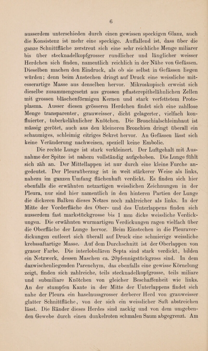 ausserdem unterschieden durch einen gewissen speckigen Glanz, auch die Konsistenz ist mehr eine speckige. Auffallend ist, dass über die ganze Schnittfläche zerstreut sich eine sehr reichliche Menge miliarer bis über stecknadelkopfgrosser rundlicher und länglicher weisser Herdchen sich finden, namentlich reichlich in der Nähe von Gefässen. Dieselben machen den Eindruck, als ob sie selbst in Gefässen liegen würden; denn beim Anstechen dringt auf Druck eine weissliche mit¬ esserartige Masse aus denselben hervor. Mikroskopisch erweist sich dieselbe zusammengesetzt aus grossen pflasterepithelähnlichen Zellen mit grossen bläschenförmigen Kernen und stark verfettetem Proto¬ plasma. Ausser diesen grösseren Herdchen findet sich eine zahllose Menge transparenter, grauweisser, dicht gelagerter, vielfach kon- fluierter, tuberkelähnlicher Knötchen. Die Bronchialschleimhaut ist mässig gerötet, auch aus den kleineren Bronchien dringt überall ein schaumiges, schleimig eitriges Sekret hervor. An Gefässen lässt sich keine Veränderung nachweisen, speziell keine Embolie. Die rechte Lunge ist stark verkleinert. Der Luftgehalt mit Aus¬ nahme der Spitze ist nahezu vollständig aufgehoben. Die Lunge fühlt sich zäh an. Der Mittellappen ist nur durch eine kleine Furche an¬ gedeutet. Der Pleuraüberzug ist in weit stärkerer Weise als links, nahezu im ganzen Umfang flächenhaft verdickt. Es finden sich hier ebenfalls die erwähnten netzartigen weisslichen Zeichnungen in der Pleura, nur sind hier namentlich in den hinteren Partien der Lunge die dickeren Balken dieses Netzes noch zahlreicher als links. In der Mitte der Vorderfläche des Ober- und des Unterlappens finden sich ausserdem fast markstückgrosse bis 1 mm dicke weissliche Verdick¬ ungen. Die erwähnten wurmartigen Verdickungen ragen vielfach über die Oberfläche der Lunge hervor. Beim Einstechen in die Pleuraver¬ dickungen entleert sich überall auf Druck eine schmierige weissliche krebssaftartige Masse. Auf dem Durchschnitt ist der Oberlappen von grauer Farbe. Die interlobulären Septa sind stark verdickt, bilden ein Netzwerk, dessen Maschen ca. 20pfennigstiickgross sind. In dem dazwischenliegenden Parenchym, das ebenfalls eine gewisse Körnelung zeigt, finden sich zahlreiche, teils stecknadelkopfgrosse, teils miliare und submiliare Knötchen von gleicher Beschaffenheit wie links. An der stumpfen Kante in der Mitte der Unterlappens findet sich nahe der Pleura ein haselnussgrosser derberer Herd von grauweisser glatter Schnittfläche, von der sich ein weisslicher Saft abstreichen lässt. Die Ränder dieses Herdes sind zackig und von dem umgeben¬ den Gewebe durch einen dunkelroten schmalen Saum abgegrenzt. Am