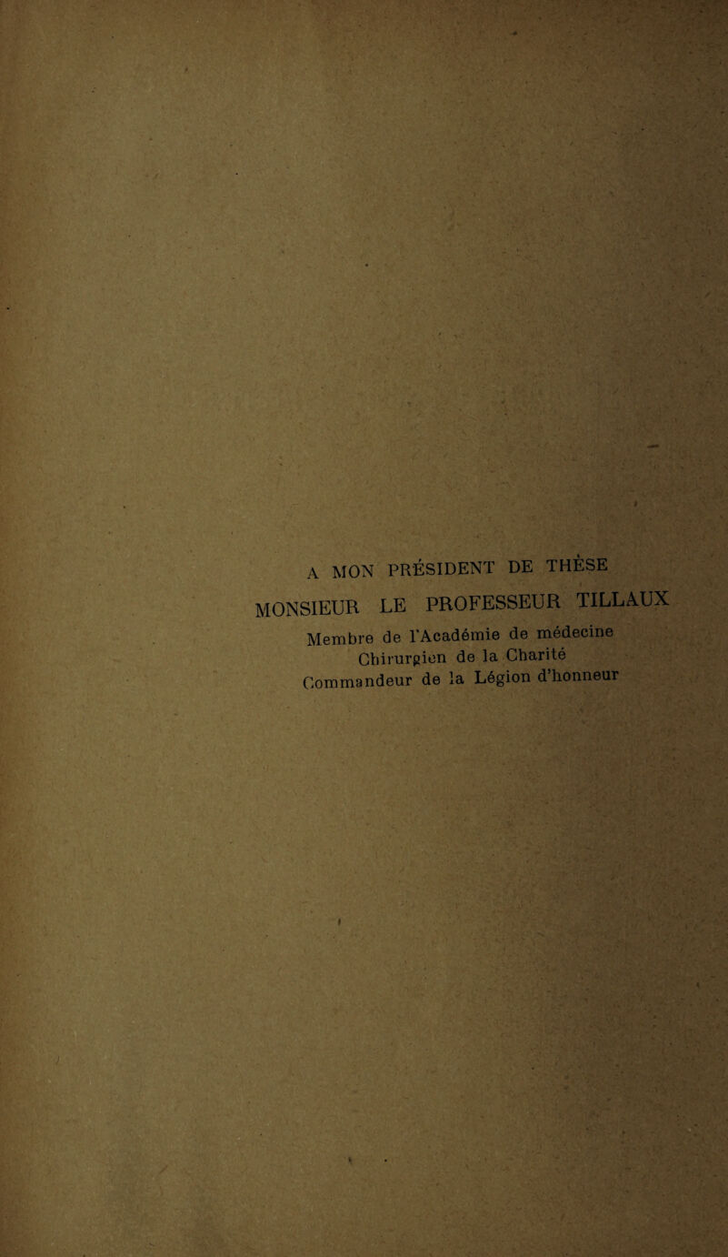 A MON PRÉSIDENT DE THÈSE MONSIEUR LE PROFESSEUR TILLAUX Membre de l’Académie de médecine Chirurgien de la Charité Commandeur de la Légion d’honneur »