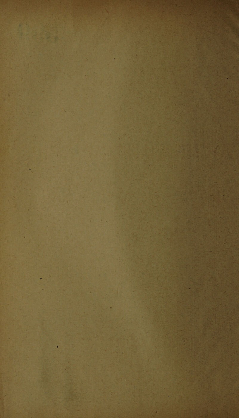 • • ' *: •• T * • . >;• ;• - ' N ' ' » i. v • \ '■ ' ■ • » <* • $e3S3îS&r . ' . . . ' •' <• ’ v * . : .• - •• >. , 1 ■ ■ . A v - .V ■ ■ ■' r -, i *; - / * N .,% ■ Ï-..V *•: A ■ • >,• r; •' ■ ■ - • », . i J » - , ’-s ‘ .r ’ * .»■ ,■* t*’* . -< • >. r ' *. . C • ; . „ lïi'i/;: :üav» •* > • i- : i r\ ' -V i • ■■ ■; ■ • •>. : v'vVâ, ■' j — «• ■ ••• K : . . / *»- . . ; v ' • . ~V . ' \ . ’. •» ^ -t . ■ - 7? f U fé* T^-V » - . ■ ■ ' ■ -r / b . 1 • - tS’-' • ; a » • y■ , ■ ; . . ‘ ' • 'v î < H 4 5' • Sm, ■ j'sw1 'H >Bj^Cv, 55^336 ■ . ' V ' * V '' - '* ' : ’ . . .'i 'Al ■ 'v ,, - - - A- , A , ' y,- , * • ' • V ' V ■ • 'v- ■ - i A.f • ’ • *, v, I V . ‘ 'V ' % L . -- > *• '4Ï * i .--v <S - ' ' - -V.» • i' V v «' - v ■ •-'>