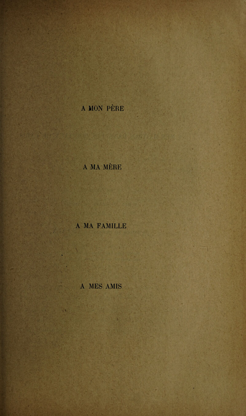 A MON PÈRE A MA MÈRE A MA FAMILLE A MES AMIS