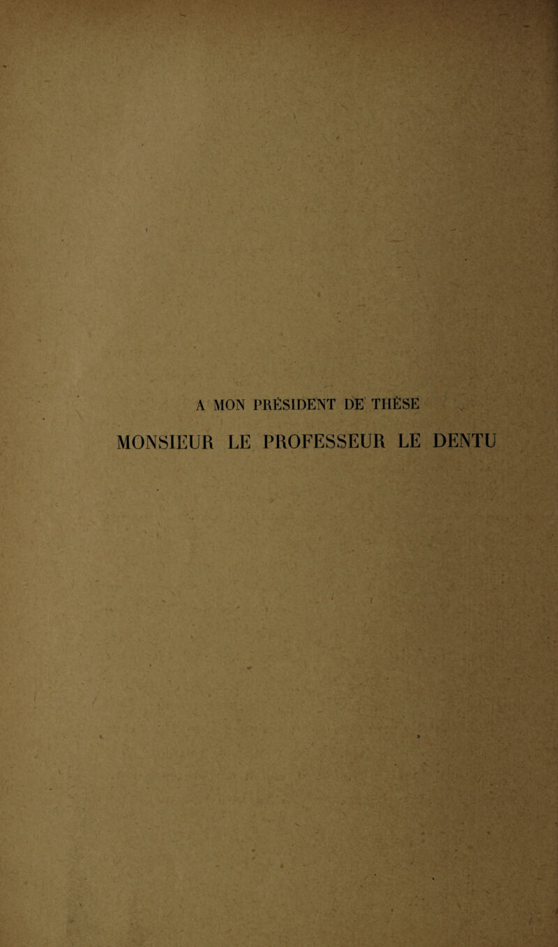 A MON PRÉSIDENT DE THÈSE MONSIEUR LE PROFESSEUR LE DENTU »