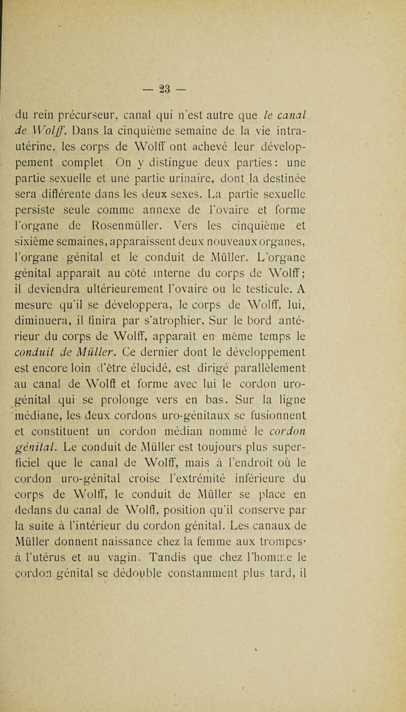 du rein précurseur, canal qui n'est autre que le canal de Wolff. Dans la cinquième semaine de la vie intra- utérine, les corps de Wolff ont achevé leur dévelop¬ pement complet On y distingue deux parties: une partie sexuelle et une partie urinaire, dont la destinée sera différente dans les deux sexes. La partie sexuelle persiste seule comme annexe de l’ovaire et forme l’organe de Rosenmüller. Vers les cinquième et sixième semaines, apparaissent deux nouveaux organes, l'organe génital et le conduit de Muller. L’organe génital apparaît au côté interne du corps de Wolff ; il deviendra ultérieurement l’ovaire ou le testicule. A mesure qu'il se développera, le corps de Wolff, lui, diminuera, il finira par s’atrophier. Sur le bord anté¬ rieur du corps de Wolff, apparaît en même temps le conduit de Millier. Ce dernier dont le développement est encore loin d’être élucidé, est dirigé parallèlement au canal de Wolff et forme avec lui le cordon uro- gVnital qui se prolonge vers en bas. Sur la ligne médiane, les deux cordons uro-génitaux se fusionnent et constituent un cordon médian nommé le cordon génital. Le conduit de Müller est toujours plus super¬ ficiel que le canal de Wolff, mais à l'endroit où le cordon uro-génital croise l'extrémité inférieure du corps de Wolff, le conduit de Millier se place en dedans du canal de Wolff, position qu’il conserve par la suite à l’intérieur du cordon génital. Les canaux de Müller donnent naissance chez la femme aux trompes* à l’utérus et au vagin. Tandis que chez l'homme le cordon génital se dédouble constamment plus tard, il