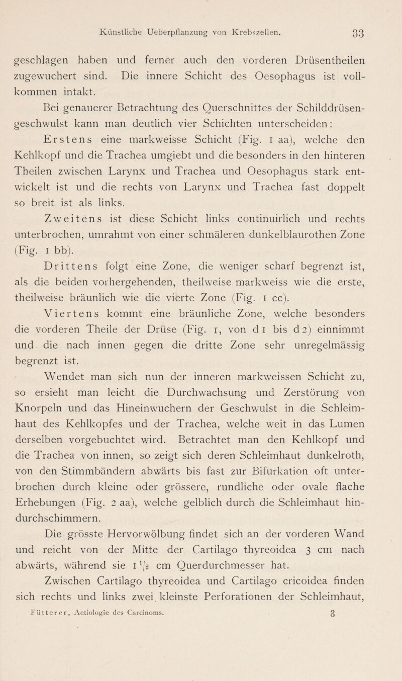 geschlagen haben und ferner auch den vorderen Drüsentheilen zugewuchert sind. Die innere Schicht des Oesophagus ist voll¬ kommen intakt. Bei genauerer Betrachtung des Querschnittes der Schilddrüsen¬ geschwulst kann man deutlich vier Schichten unterscheiden: Erstens eine markweisse Schicht (Fig. i aa), welche den Kehlkopf und die Trachea umgiebt und die besonders in den hinteren Theilen zwischen Larynx und Trachea und Oesophagus stark ent¬ wickelt ist und die rechts von Larynx und Trachea fast doppelt so breit ist als links. Zweitens ist diese Schicht links continuirlich und rechts unterbrochen, umrahmt von einer schmäleren dunkelblaurothen Zone (Fig. i bb). Drittens folgt eine Zone, die weniger scharf begrenzt ist, als die beiden vorhergehenden, theilweise markweiss wie die erste, theilweise bräunlich wie die vierte Zone (Fig. i cc). Viertens kommt eine bräunliche Zone, welche besonders die vorderen Theile der Drüse (Fig. i, von di bis da) einnimmt und die nach innen gegen die dritte Zone sehr unregelmässig begrenzt ist. Wendet man sich nun der inneren markweissen Schicht zu, so ersieht man leicht die Durchwachsung und Zerstörung von Knorpeln und das Hineinwuchern der Geschwulst in die Schleim¬ haut des Kehlkopfes und der Trachea, welche weit in das Lumen derselben vorgebuchtet wird. Betrachtet man den Kehlkopf und die Trachea von innen, so zeigt sich deren Schleimhaut dunkelroth, von den Stimmbändern abwärts bis fast zur Bifurkation oft unter¬ brochen durch kleine oder grössere, rundliche oder ovale flache Erhebungen (Fig. 2 aa), welche gelblich durch die Schleimhaut hin¬ durchschimmern. Die grösste Hervorwölbung findet sich an der vorderen Wand und reicht von der Mitte der Cartilago thyreoidea 3 cm nach abwärts, während sie 1cm Querdurchmesser hat. Zwischen Cartilago thyreoidea und Cartilago cricoidea finden sich rechts und links zwei, kleinste Perforationen der Schleimhaut, Fütterer, Aetiologie des Carcinoms. 8