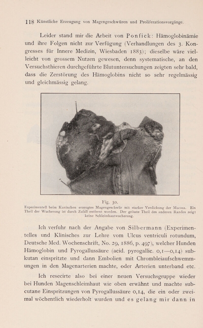 Leider stand mir die Arbeit von Ponfick: Hämoglobinämie und ihre Folgen nicht zur Verfügung (Verhandlungen des 3. Kon¬ gresses für Innere Medizin, Wiesbaden 1883); dieselbe wäre viel¬ leicht von grossem Nutzen gewesen, denn systematische, an den Versuchsthieren durchgeführte Blutuntersuchungen zeigten sehr bald, dass die Zerstörung des Hämoglobins nicht so sehr regelmässig und gleichmässig gelang. Fig. 30. Experimentell beim Kaninchen erzeugtes Magengeschwür mit starker Verdickung der Mucosa. Ein Theil der Wucherung ist durch Zufall entfernt worden. Der grösste Theil des anderen Randes zeigt keine Schleimhautwucherung. Ich verfuhr nach der Angabe von Silber mann (Experimen¬ telles und Klinisches zur Lehre vom Ulcus ventriculi rotundum, Deutsche Med. Wochenschrift, No. 29, 1886, p. 497), welcher Hunden Hämoglobin und Pyrogallussäure (acid. pyrogallic. 0,1—0,14) sub¬ kutan einspritzte und dann Embolien mit Chrombleiaufschwemm¬ ungen in den Magenarterien machte, oder Arterien unterband etc. Ich resecirte also bei einer neuen Versuchsgruppe wieder bei Hunden Magenschleimhaut wie oben erwähnt und machte sub- cutane Einspritzungen von Pyrogallussäure 0,14, die ein oder zwei¬ mal wöchentlich wiederholt wurden und es gelang mir dann in