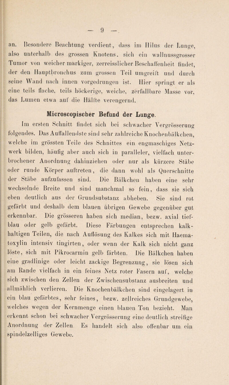 an. Besondere Beachtung verdient, dass im Hilus der Lumm also unterhalb des grossen Knotens, sich ein wall nussgrosser Tumor von weicher markiger, zerreisslicher Beschaffenheit, findet, der den Hauptbronchus zum grossen Teil umgreift und durch seine Wand nach innen vorgedrungen ist. Hier springt er als eine teils flache, teils höckerige, weiche, zerfallbare Masse vor, das Lumen etwa auf die Hälfte verengernd. Microscopischer Befund der Lunge. Im ersten Schnitt findet sich bei schwacher Vergrösseruno- folgendes. Das Auffallendste sind sehr zahlreiche Knochenbälkchen, welche im grössten Teile des Schnittes ein engmaschiges Netz¬ werk bilden, häufig aber auch sich in paralleler, vielfach unter¬ brochener Anordnung dahinziehen oder nur als kürzere Stäbe oder runde Körper auftreten, die dann wohl als Querschnitte der Stäbe aufzulassen sind. Die Bälkchen haben eine sehr wechselnde Breite und sind manchmal so fein, dass sie sich eben deutlich aus der Grundsubstanz abheben. Sie sind rot gefärbt und deshalb dem blauen übrigen Gewebe gegenüber gut erkennbar. Die grösseren haben sich median, bezw. axial tief¬ blau oder gelb gefärbt. Diese Färbungen entsprechen kalk¬ haltigen Teilen, die nach Auflösung des Kalkes sich mit Haema- toxylin intensiv tingirten, oder wenn der Kalk sich nicht ganz löste, sich mit Pikrocarmin gelb färbten. Die Bälkchen haben eine gradlinige oder leicht zackige Begrenzung, sie lösen sich am Rande vielfach in ein feines Netz roter Fasern auf, welche sich zwischen den Zellen der Zwischensubstanz ausbreiten und allmählich verlieren. Die Knochenbälkchen sind eingelagert in ein blau gefärbtes, sehr feines, bezw. zellreiches Grundgewebe, welches wegen der Kernmenge einen blauen Ton bezieht. Man erkennt schon bei schwacher V ergrösserung eine deutlich streifige Anordnung der Zellen Es handelt sich also olfenbar um ein spindelzelliges Gewebe.