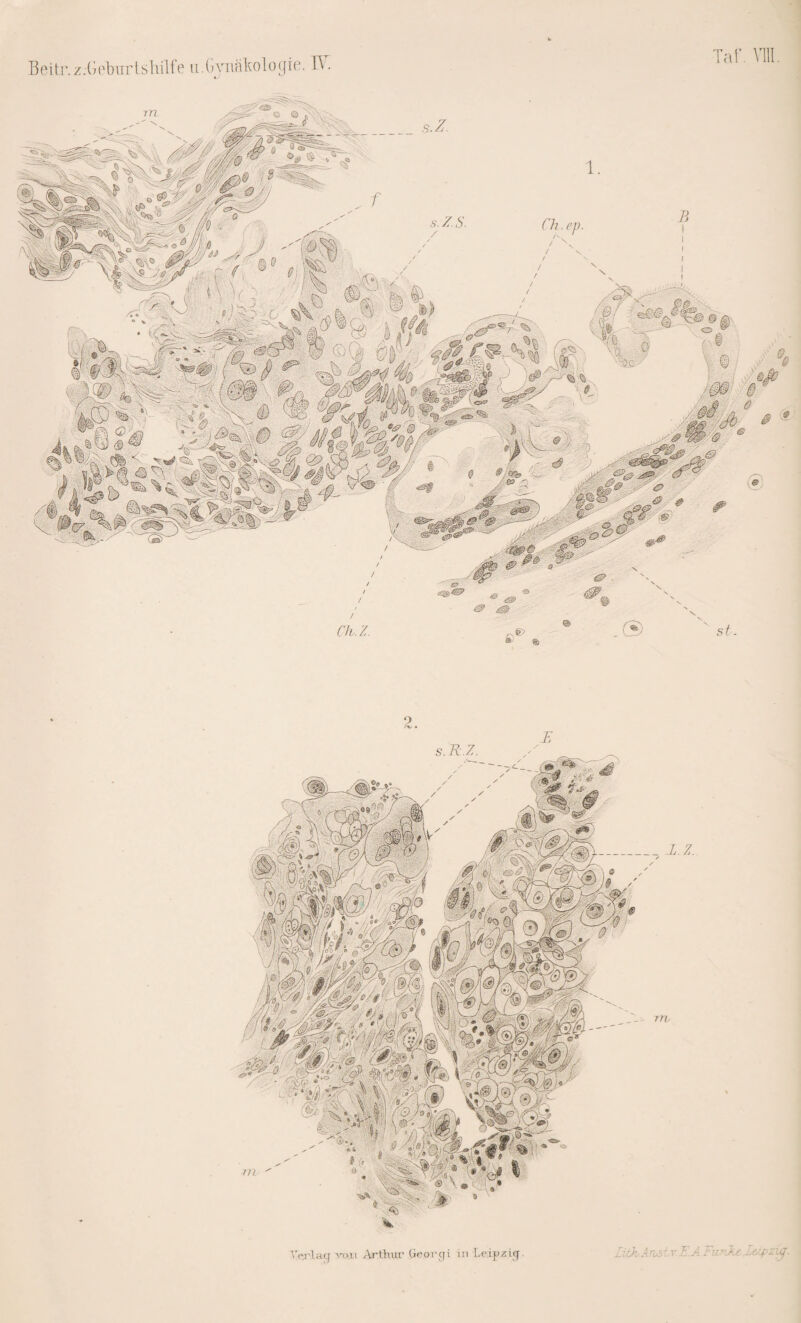 Beitr.z.-Geburtshilfe uByiiakologie. Vf.