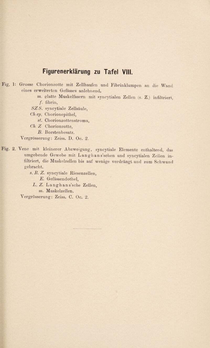Figurenerklärung zu Tafel VIII. Fig. 1: Grosse Chorionzotte mit Zellhaufen und Fibrinklampen an die Wand eines erweiterten Gefässes anlehnend. m. glatte Muskelfasern mit syncytialen Zellen (s. Z.) infiltriert, f. fibrin, SZS. syncytiale Zellsäule, Ch ep. Chorionepithel, st. Chorionzottenstroma, Ch Z Chorionzotte, B. Borstenbesatz. Vergrösserung: Zeiss. D. Oc. 2. Fig. 2. Vene mit kleinerer Abzweigung, syncytiale Elemente enthaltend, das umgebende Gewebe mit L angh an s’schen und syncytialen Zellen in¬ filtriert, die Muskelzellen bis auf wenige verdrängt und zum Schwund gebracht. s. B. Z. syncytiale Riesenzellen, E. Gefässendothel, L. Z. Langh an s’sche Zellen, m. Muskelzellen. Vergrösserung: Zeiss. C. Oc. 2.
