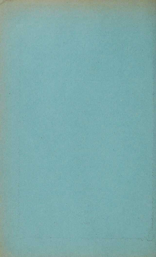 digitised image 2