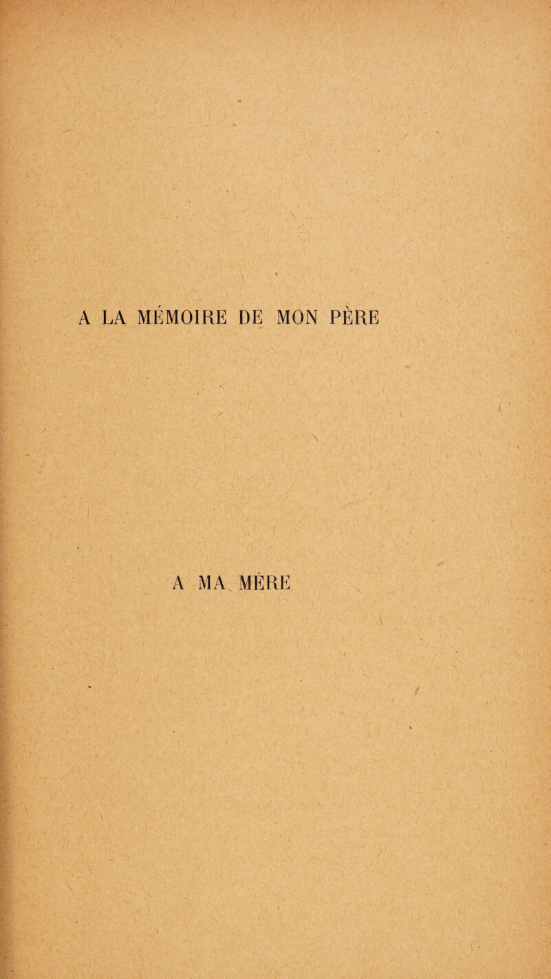 A LA MÉMOIRE DE MON PÈRE A MA MERE