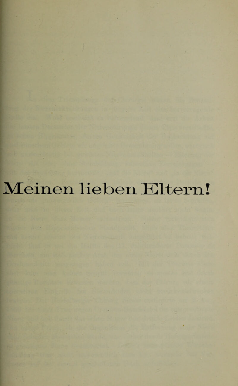 Meinen lieben Eltern