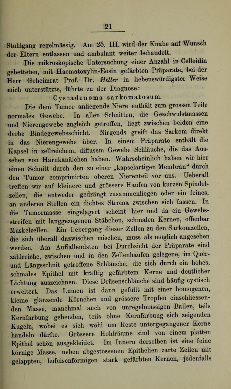Stuhlgang regelmässig. Am 25. III. wird der Knabe auf Wunsch der Eltern entlassen und ambulant weiter behandelt. Die mikroskopische Untersuchung einer Anzahl in Celloidin gebetteten, mit Haematoxylin-Eosin gefärbten Präparate, bei der Herr- Geheimrat Prof. Dr. Heller in liebenswürdigster Weise mich unterstützte, führte zu der Diagnose: v Cystadenoma sarkomatosum. Die dem Tumor anliegende Niere enthält zum grossen Teile normales Gewebe. In allen Schnitten, die Geschwulstmassen und Nierengewebe zugleich getroffen, liegt zwischen beiden eine derbe Bindegewebsschicht. Nirgends greift das Sarkom direkt in das Nierengewebe über. In einem Präparate enthält die Kapsel in zellreichem, diffusem Gewebe Schläuche, die das Aus¬ sehen yon Harnkanälchen haben. Wahrscheinlich haben wir hier einen Schnitt durch den zu einer „kapselartigen Membran durch den Tumor comprimirten oberen Nierenteil vor uns. Ueberall treffen wir auf kleinere und grössere Haufen von kurzen Spindel¬ zellen, die entweder gedrängt zusammenliegen oder ein feines, an anderen Stellen ein dichtes Stroma zwischen sich fassen. In die Tumormasse eingelagert scheint hier und da ein Gewebs- streifen mit langgezogenen Stäbchen, schmalen Kernen, offenbar Muskelzellen. Ein Uebergang dieser Zellen zu den Sarkomzellen, die sich überall dazwischen mischen, muss als möglich angesehen werden. Am Auflallendsten bei Durchsicht der Präparate sind zahlreiche, zwischen und in den Zellenhaufen gelegene, im Quer- und Längsschnit getroffene Schläuche, die sich durch ein hohes, schmales Epithel mit kräftig gefärbtem Kerne und deutlicher Lichtung auszeichnen. Diese Drüsenschläuche sind häufig c^stisch erweitert. Das Lumen ist dann gefüllt mit einer homogenen, kleine glänzende Körnchen und grössere Tropfen einschliessen- den Masse, manchmal auch von unregelmässigen Ballen, teils Kernfärbung gebenden, teils ohne Kernfärbung sich zeigenden Kugeln, wobei es sich wohl um Reste untergegangenei Keine handeln dürfte. Grössere Hohlräume sind von einem platten Epithel schön ausgekleidet. Im Innern derselben ist eine feine körnige Masse, neben abgestossenen Epithelien zarte Zellen mit gelappten, hufeisenförmigen stark gefärbten Kernen, jedenfalls