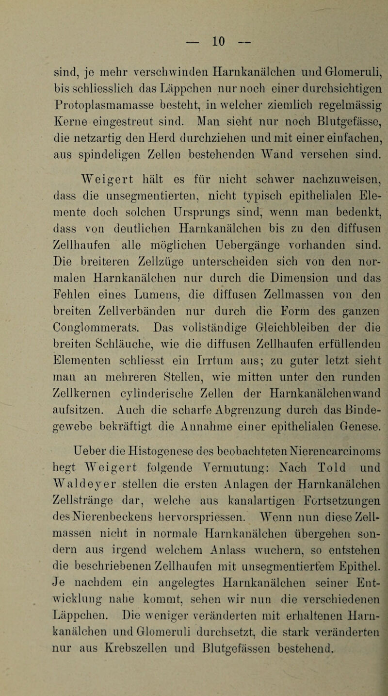 sind, je mehr verschwinden Harnkanälchen und Glomeruli, bis schliesslich das Läppchen nur noch einer durchsichtigen Protoplasmamasse besteht, in welcher ziemlich regelmässig Kerne eingestreut sind. Man sieht nur noch Blutgefässe, die netzartig den Herd durchziehen und mit einer einfachen, aus spindeligen Zellen bestehenden Wand versehen sind. Weigert hält es für nicht schwer nachzuweisen, dass die nnsegmentierten, nicht typisch epithelialen Ele¬ mente doch solchen Ursprungs sind, wenn man bedenkt, dass von deutlichen Harnkanälchen bis zu den diffusen Zellhaufen alle möglichen Uebergänge vorhanden sind. Die breiteren Zellzüge unterscheiden sich von den nor¬ malen Harnkanälchen nur durch die Dimension und das Fehlen eines Lumens, die diffusen Zellmassen von den breiten Zellverbänden nur durch die Form des ganzen Conglommerats. Das vollständige Gleichbleiben der die breiten Schläuche, wie die diffusen Zellhaufen erfüllenden Elementen schliesst ein Irrtum aus; zu guter letzt sieht man an mehreren Stellen, wie mitten unter den runden Zellkernen cylinderische Zellen der Harnkanälchenwand aufsitzen. Auch die scharfe Abgrenzung durch das Binde¬ gewebe bekräftigt die Annahme einer epithelialen Genese. Ueber die Histogenese des beobachteten Nierencarcinoms hegt Weigert folgende Vermutung: Nach Told und Waldeyer stellen die ersten Anlagen der Harnkanälchen Zellstränge dar, welche aus kanalartigen Fortsetzungen des Nierenbeckens hervorspriessen. Wenn nun diese Zell¬ massen nicht in normale Harnkanälchen übergehen son¬ dern aus irgend welchem Anlass wuchern, so entstehen die beschriebenen Zellhaufen mit unsegmentiertem Epithel. Je nachdem ein angelegtes Harnkanälchen seiner Ent¬ wicklung nahe kommt, sehen wir nun die verschiedenen Läppchen. Die weniger veränderten mit erhaltenen Harn¬ kanälchen und Glomeruli durchsetzt, die stark veränderten nur aus Krebszellen und Blutgefässen bestehend.