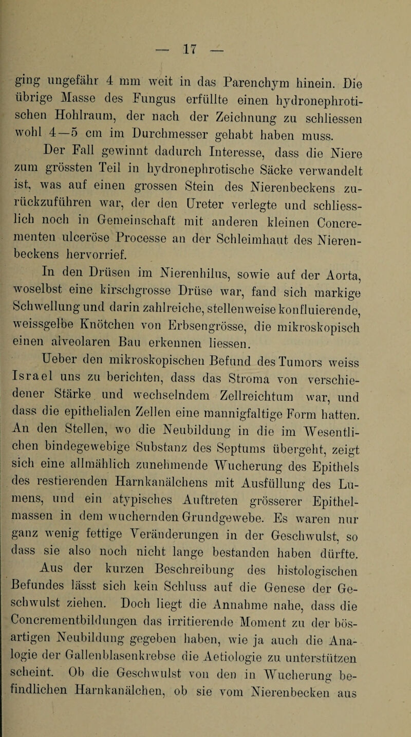 ging ungefähr 4 mm weit in das Parenchym hinein. Pie übrige Masse des Fungus erfüllte einen hydronephroti- schen Hohlraum, der nach der Zeichnung zu schliessen wohl 4 5 cm im Durchmesser gehabt haben muss. Der Fall gewinnt dadurch Interesse, dass die Niere zum grössten Teil in hydronephrotische Säcke verwandelt ist, was auf einen grossen Stein des Nierenbeckens zu¬ rückzuführen war, der den Preter verlegte und schliess¬ lich noch in Gemeinschaft mit anderen kleinen Concre- menten ulceröse Proeesse an der Schleimhaut des Nieren¬ beckens her vor rief. In den Drüsen im Nierenhilus, sowie auf der Aorta, woselbst eine kirschgrosse Drüse war, fand sich markige Schwellung und darin zahlreiche, stellenweise konfluierende, weissgelbe Knötchen von Erbsengrösse, die mikroskopisch einen alveolaren Bau erkennen liessen. Ueber den mikroskopischen Befund des Tumors weiss Israel uns zu berichten, dass das Stroma von verschie¬ dener Stärke und wechselndem Zellreichtum war, und dass die epithelialen Zellen eine mannigfaltige Form hatten. An den Stellen, wo die Neubildung in die im Wesentli¬ chen bindegewebige Substanz des Septums übergeht, zeigt sich eine allmählich zunehmende Wucherung des Epithels des Testierenden Harnkanälchens mit Ausfüllung des Lu¬ mens, und ein atypisches Auftreten grösserer Epithel¬ massen in dem wuchernden Grundgewebe. Es waren nur ganz wenig fettige Veränderungen in der Geschwulst, so dass sie also noch nicht lange bestanden haben dürfte. Aus der kurzen Beschreibung des histologischen Befundes lässt sich kein Schluss auf die Genese der Ge¬ schwulst ziehen. Doch liegt die Annahme nahe, dass die Concrementbiklungen das irritierende Moment zu der bös¬ artigen Neubildung gegeben haben, wie ja auch die Ana¬ logie der Gallenblasenkrebse die Aetiologie zu unterstützen scheint. Ob die Geschwulst von den in Wucherung be¬ findlichen Harnkanälchen, ob sie vom Nierenbecken aus