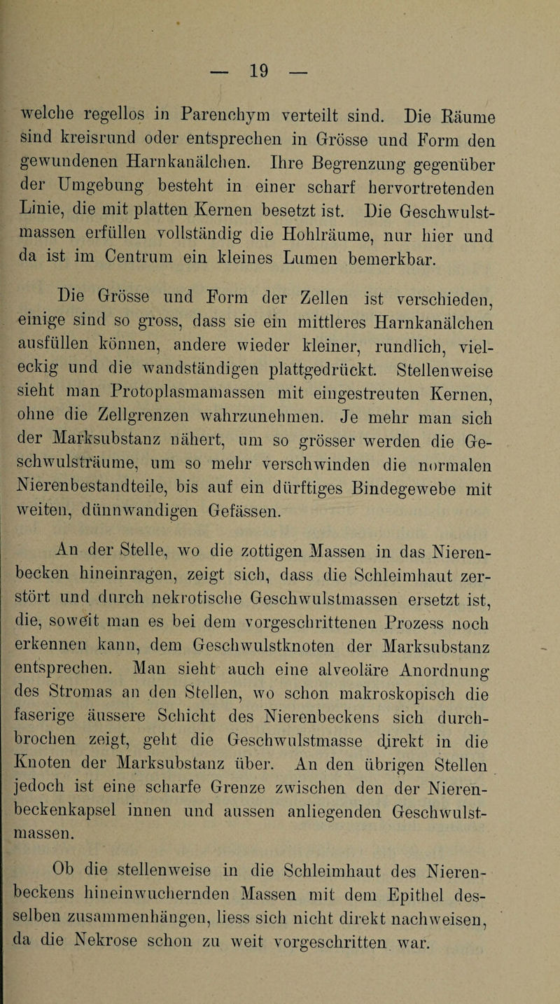 welche regellos in Parenchym verteilt sind. Die Räume sind kreisrund oder entsprechen in Grösse und Form den gewundenen Harnkanälchen. Ihre Begrenzung gegenüber der Umgebung besteht in einer scharf hervortretenden Linie, die mit platten Kernen besetzt ist. Die Geschwulst¬ massen erfüllen vollständig die Hohlräume, nur hier und da ist im Centrum ein kleines Lumen bemerkbar. Die Grösse und Form der Zellen ist verschieden, einige sind so gross, dass sie ein mittleres Harnkanälchen ausfüllen können, andere wieder kleiner, rundlich, viel¬ eckig und die wandständigen plattgedrückt. Stellenweise sieht man Protoplasmamassen mit eingestreuten Kernen, ohne die Zellgrenzen wahrzunehmen. Je mehr man sich der Marksubstanz nähert, um so grösser werden die Ge¬ schwulsträume, um so mehr verschwinden die normalen Nierenbestandteile, bis auf ein dürftiges Bindegewebe mit weiten, dünnwandigen Gefässen. An der Stelle, wo die zottigen Massen in das Nieren¬ becken hineinragen, zeigt sich, dass die Schleimhaut zer¬ stört und durch nekrotische Geschwulstmassen ersetzt ist, die, soweit man es bei dem vorgeschrittenen Prozess noch erkennen kann, dem Geschwulstknoten der Marksubstanz entsprechen. Man sieht auch eine alveoläre Anordnung des Stromas an den Stellen, wo schon makroskopisch die faserige äussere Schicht des Nierenbeckens sich durch¬ brochen zeigt, geht die Geschwulstmasse direkt in die Knoten der Marksubstanz über. An den übrigen Stellen jedoch ist eine scharfe Grenze zwischen den der Nieren¬ beckenkapsel innen und aussen anliegenden Geschwulst¬ massen. Ob die stellenweise in die Schleimhaut des Nieren¬ beckens hi nein wuchernden Massen mit dem Epithel des¬ selben Zusammenhängen, liess sich nicht direkt nach weisen, da die Nekrose schon zu weit vorgeschritten war.