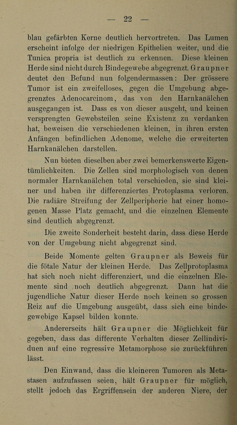 blau gefärbten Kerne deutlich hervortreten. Das Lumen erscheint infolge der niedrigen Epithelien weiter, und die Tunica propria ist deutlich zu erkennen. Diese kleinen Herde sind nicht durch Bindegewebe abgegrenzt. Graupner deutet den Befund nun folgendermassen: Der grössere Tumor ist ein zweifelloses, gegen die Umgebung abge¬ grenztes Adenocarcinom, das von den Harnkanälchen ausgegangen ist. Dass es von dieser ausgeht, und keinen versprengten Gewebsteilen seine Existenz zu verdanken hat, beweisen die verschiedenen kleinen, in ihren ersten Anfängen befindlichen Adenome, welche die erweiterten Harnkanälchen darstellen. Nun bieten dieselben aber zwei bemerkenswerte Eigen¬ tümlichkeiten. Die Zellen sind morphologisch von denen normaler Harnkanälchen total verschieden, sie sind klei¬ ner und haben ihr differenziertes Protoplasma verloren. Die radiäre Streifung der Zellperipherie hat einer homo¬ genen Masse Platz gemacht, und die einzelnen Elemente sind deutlich abgegrenzt. Die zweite Sonderheit besteht darin, dass diese Herde von der Umgebung nicht abgegrenzt sind. Beide Momente gelten Graupner als Beweis für die fötale Natur der kleinen Herde. Das Zellprotoplasma hat sich noch nicht differenziert, und die einzelnen Ele¬ mente sind noch deutlich abgegrenzt. Dann hat die jugendliche Natur dieser Herde noch keinen so grossen Reiz auf die Umgebung ausgeübt, dass sich eine binde¬ gewebige Kapsel bilden konnte. Andererseits hält Graupner die Möglichkeit für gegeben, dass das differente Verhalten dieser Zellindivi¬ duen auf eine regressive Metamorphose sie zurückführen lässt. Den Einwand, dass die kleineren Tumoren als Meta¬ stasen aufzufassen seien, hält Graupner für möglich, stellt jedoch das Ergriffensein der anderen Niere, der