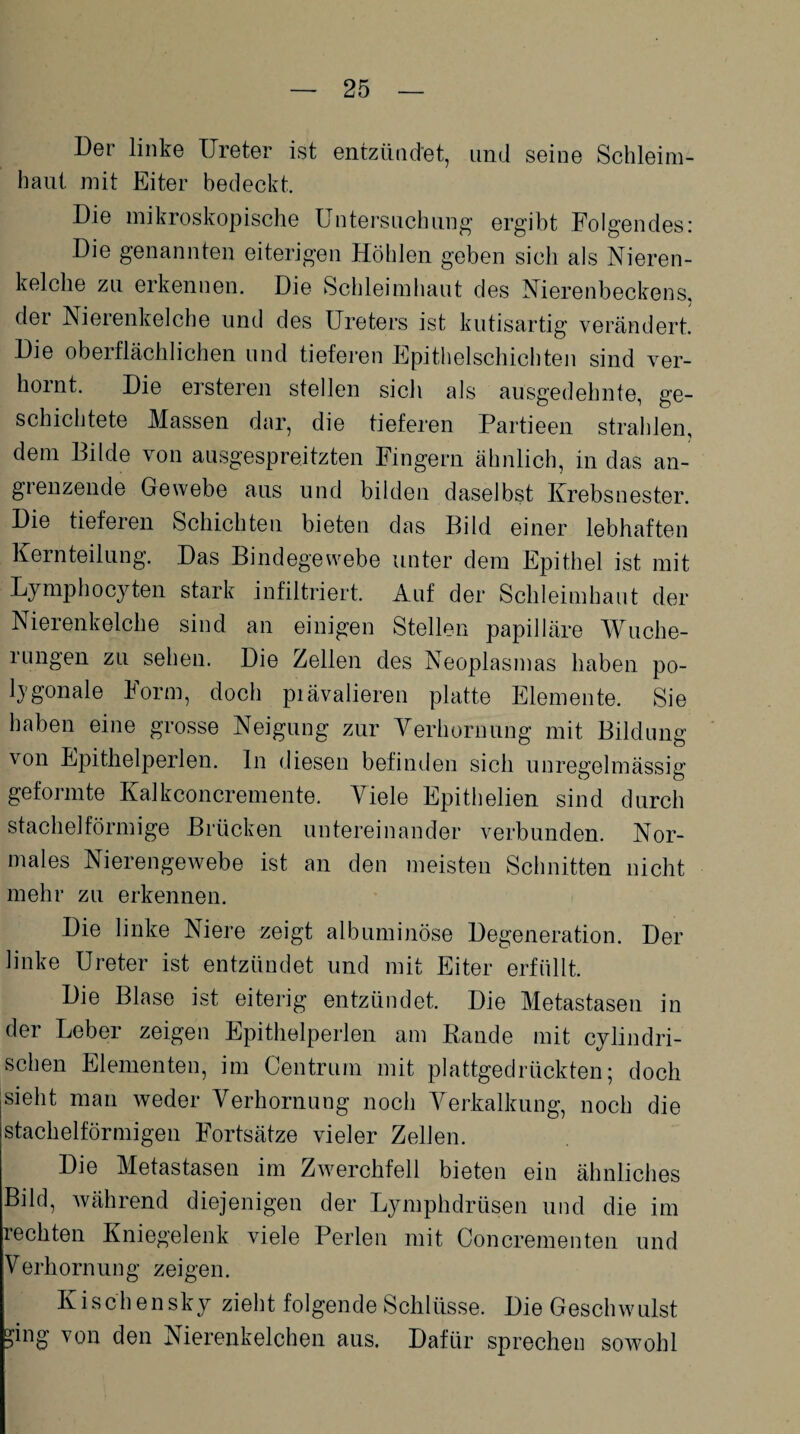 Der linke Ureter ist entzündet, und seine Schleim¬ haut mit Eiter bedeckt. Die mikroskopische Untersuchung ergibt Folgendes: Die genannten eiterigen Höhlen geben sich als Nieren¬ kelche zu erkennen. Die Schleimhaut des Nierenbeckens, der Nierenkelche und des Ureters ist kutisartig verändert. Die oberflächlichen und tieferen Epithelschichten sind ver¬ hornt. Die ersteren stellen sich als ausgedehnte, ge¬ schichtete Massen dar, die tieferen Partieen strahlen, dem Bilde von ausgespreitzten Fingern ähnlich, in das an¬ grenzende Gewebe aus und bilden daselbst Krebsnester. Die tieferen Schichten bieten das Bild einer lebhaften Kernteilung. Das Bindegewebe unter dem Epithel ist mit Lymphocyten stark infiltriert. Auf der Schleimhaut der Nierenkelche sind an einigen Stellen papilläre Wuche¬ rungen zu sehen. Die Zellen des Neoplasmas haben po¬ lygonale Form, doch piävalieren platte Elemente. Sie haben eine grosse Neigung zur Verhornung mit Bildung von Epithelperlen, ln diesen befinden sich unregelmässig geformte Kalkconcremente. Viele Epithelien sind durch stachelförmige Brücken untereinander verbunden. Nor¬ males Nierengewebe ist an den meisten Schnitten nicht mehr zu erkennen. Die linke Niere zeigt albuminöse Degeneration. Der linke Ureter ist entzündet und mit Eiter erfüllt. Die Blase ist eiterig entzündet. Die Metastasen in der Leber zeigen Epithelperlen am Bande mit cylindri- schen Elementen, im Centrum mit plattgedrückten; doch sieht man weder Verhornung noch Verkalkung, noch die stachelförmigen Fortsätze vieler Zellen. Die Metastasen im Zwerchfell bieten ein ähnliches Bild, während diejenigen der Lymphdrüsen und die im rechten Kniegelenk viele Perlen mit Concrementen und Verhornung zeigen. Kischensky zieht folgende Schlüsse. Die Geschwulst ?ing von den Nierenkelchen aus. Dafür sprechen sowohl