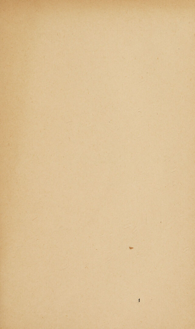 digitised image 3