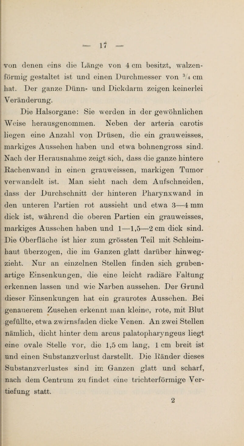 von denen eins die Länge von 4 cm besitzt, walzen¬ förmig gestaltet ist und einen Durchmesser von 3U cm hat. Der ganze Dünn- und Dickdarm zeigen keinerlei Veränderung. Die Halsorgane: Sie werden in der gewöhnlichen Weise herausgenommen. Neben der arteria carotis liegen eine Anzahl von Drüsen, die ein grauweisses, markiges Aussehen haben und etwa bohnengross sind. Nach der Herausnahme zeigt sich, dass die ganze hintere Rachenwand in einen grauweissen, markigen Tumor verwandelt ist. Man sieht nach dem Aufschneiden, dass der Durchschnitt der hinteren Pharynxwand in den unteren Partien rot aussieht und etwa 3—4 mm dick ist, während die oberen Partien ein grauweisses, markiges Aussehen haben und 1—1,5—2 cm dick sind. Die Oberfläche ist hier zum grössten Teil mit Schleim¬ haut überzogen, die im Gfanzen glatt darüber hinweg¬ zieht. Nur an einzelnen Stellen finden sich gruben¬ artige Einsenkungen, die eine leicht radiäre Faltung erkennen lassen und wie Narben aussehen. Der Gfrund dieser Einsenkungen hat ein graurotes Aussehen. Bei genauerem Zusehen erkennt man kleine, rote, mit Blut gefüllte, etwa Zwirnsfaden dicke Venen. An zwei Stellen nämlich, dicht hinter dem arcus palatopharyngeus liegt eine ovale Stelle vor, die 1,5 cm lang, 1 cm breit ist und einen Substanzverlust darstellt. Die Ränder dieses Substanzverlustes sind im Ganzen glatt und scharf, nach dem Centrum zu findet eine trichterförmige Ver¬ tiefung statt. 2