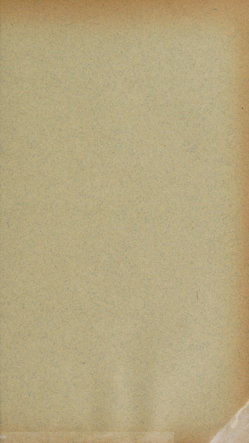 r--- < - . - AV ■ i AA <■ , ; . .. 'A • ' , .A ' . ' A A + i ' l ^ ’ -- ... . V. / / •A.•> Y. : t;... /; v ' ’* - • • v- ... \ r* ■ . . . . ■ ' ■ - a’ 1 - * ■; a iS® : ,k v a ■ : ■ ■ .  ls . i v '■ l ' v ' ? ■ , , ■ . - ' ' • ■ ; . :--n ■ ~' - * - l . t. A ■ . , \& - • - - •; 3 f A-n. A -• , * *T •■•... • '-'f > ■?: . . ... .. - .' J6* ... ■ -V 0. . ‘ ■ t ' , , \ Y AA'A. . a-A- / r- i V v. ‘ V. ■ . A. AyAAA A'' . A- : v a. •. ■ • a aa .. - ” — 's ■ .' r.v ^ A .v •. '.,>v ■ .^ . '• jx. ■ 'f- • .'' • • - . . . • .. ■ ' • • • • : ^ .y . v- . . ■ . ■ ; ' .- . ■ v ■ . . . ....... . - ■ • . i ■ • jg .; fc-v | ' ..v ■■ . .. ■ / v. - - ' ' ' • ■ ■ ' ' , )' 5' ; f - ■ - - ' ‘ . ■ . . ' ' :  '.':'V ■ • • y% • ^ -9;; <■' ■■ '■ ' ■ ' v / ' ' ^ ; - - ; . v. v> -• ^ ; ; ■ ■ • . , . v ^.. ■ . ■ • ■ .. ' -■/' .. . - . . • • .. . ■ v v ■ aV-:- . S - • , - . . ■' ■ % . , . • i 'r 1-. - :A AJ: . ’i- ■'= ’ •-  V.^-- fA , : ' v V ■V ' ‘ ,--A ' , ■A r :. : . A •- -r, ‘ ■ '■ A ,, .., ^;.:AAa?.a;'<>:, Ai;, -A.A- ... ■ / - ‘ y »■ t *  • - v‘ C. ■ . A v- % , . - V . - .V U -• \ A, . , . '.’J.A'L - . . .. 1 . ■ ■ ‘ ; r. . . • -.. , ■ ■ Ai»- * J ^ *. v ?. v 9 -.*•.• i * ■ . y / * ■ j . , ■ ■ i; 1/ - ' . ■ ’ ... . . . , . .-AA i ■ •' . , - • . - - •• • v .v *• . ■- ■ ‘' . /. ■ ■ ^ ‘ v - - • ‘ ; ■ . - - • ' . v \ ;■ '■ - ■ v '■ - * 1 -{f a ‘ A- ■; - '. JH .Mr- • , ■ . , ■ , A ■-aa.-^a. ‘'A^.y|A ■a-^a. • '■ aa-.vaa .;■. _ A '. ■*. .■ ■ -Hj : _r ) '.'1a -Ai V^a;AP . '■ ■ ! r. ' -A. . ■: •AIAAaaA- ' • • ' *. '• . V. ‘ • V. ^ ■ . A A  v.'y -f.-.’ A’s • A-:!- A : aV • i i - ... ■- • • .il. i v. ■a--: . . vv